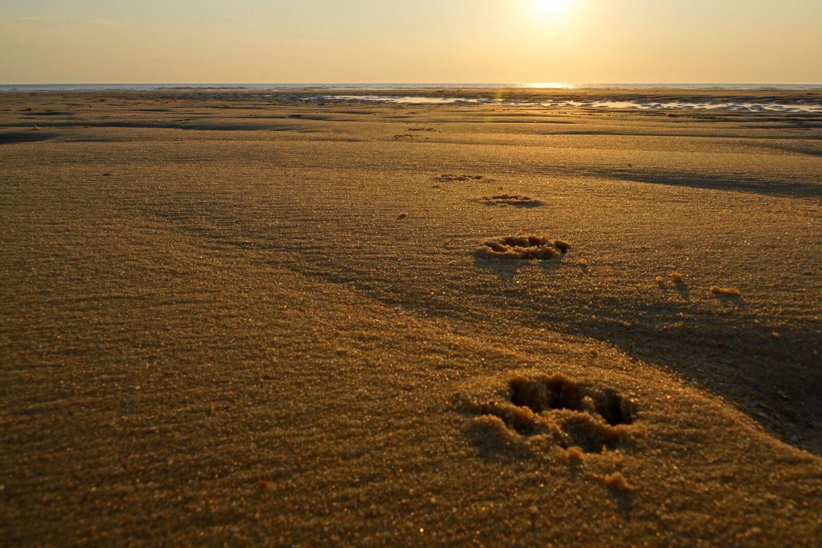Sony E 18-200mm F3.5-6.3 OSS LE sample photo. Sand, coast, beach photography
