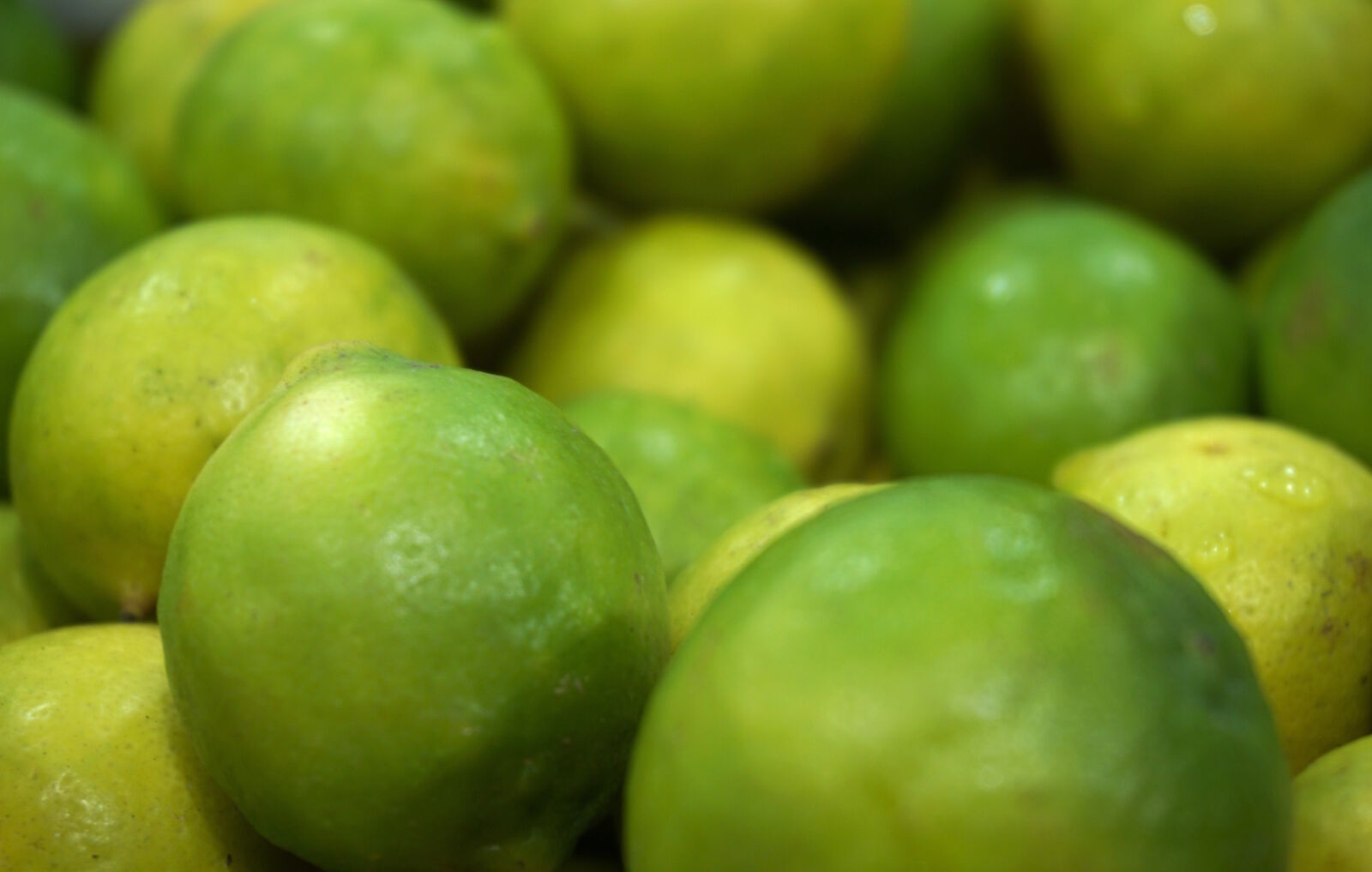 Sony E 16-50mm F3.5-5.6 PZ OSS sample photo. Blur, blurred, close, up photography