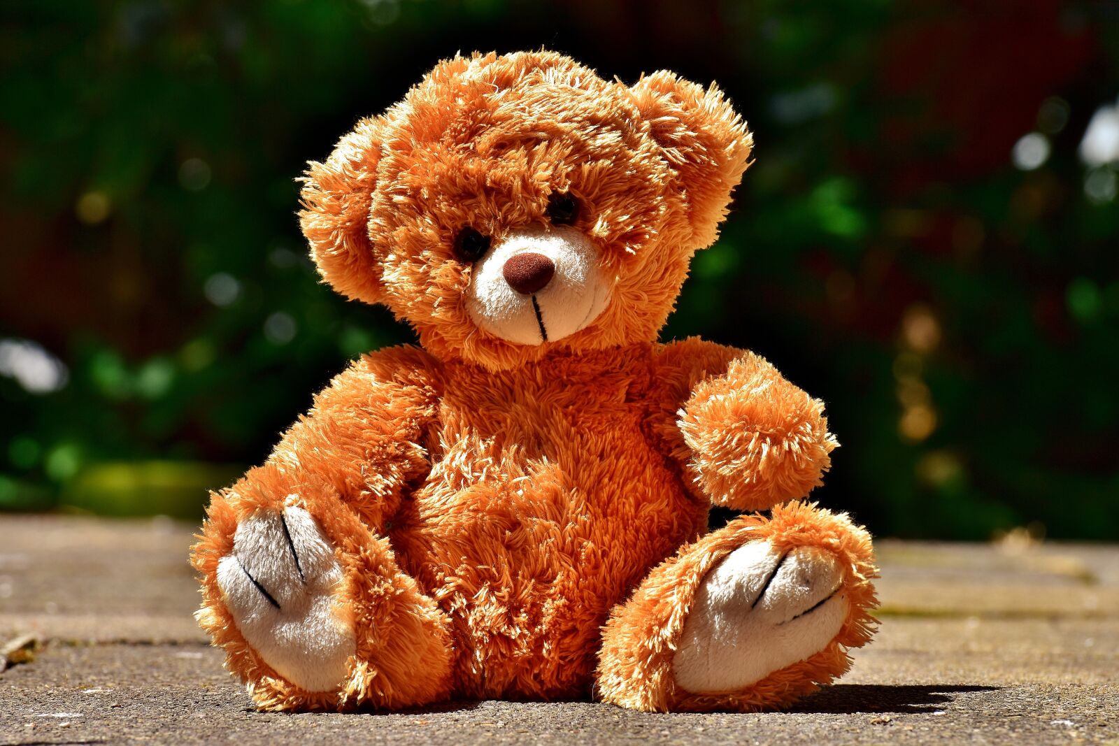 Nikon D7200 sample photo. Teddy, cute, soft toy photography