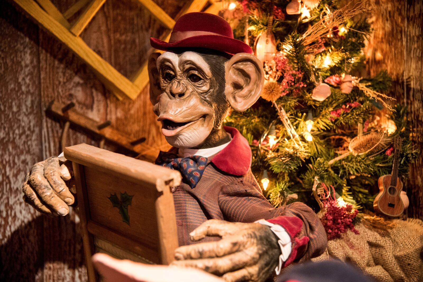 Nikon D750 sample photo. People, portrait, christmas photography