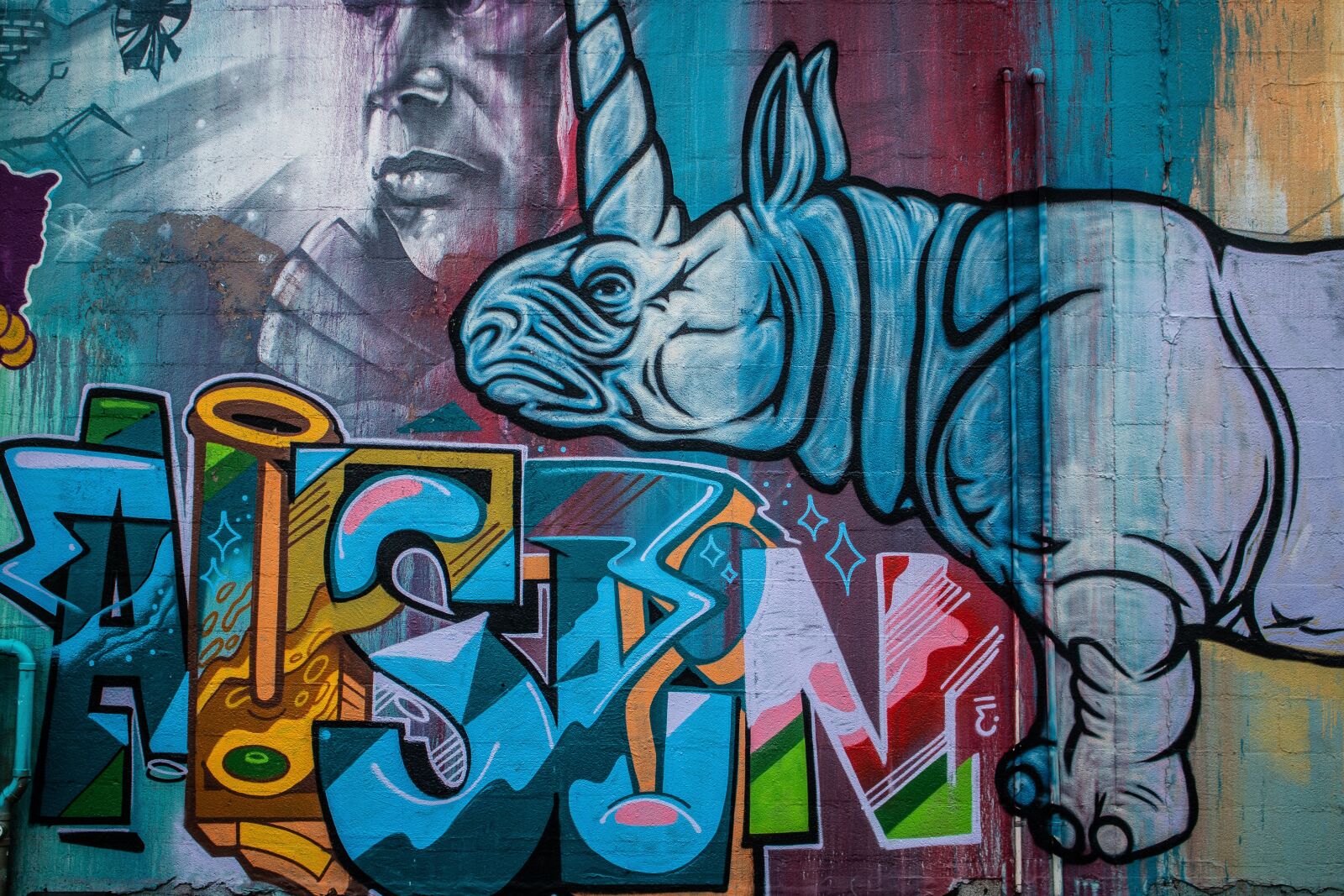 Canon EOS 70D sample photo. Texas, art, wall photography