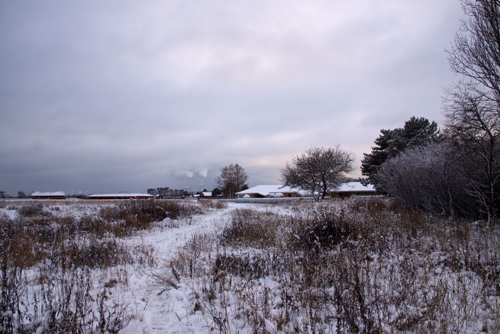 Canon EOS 50D sample photo. Winter landscape, snow, winter photography