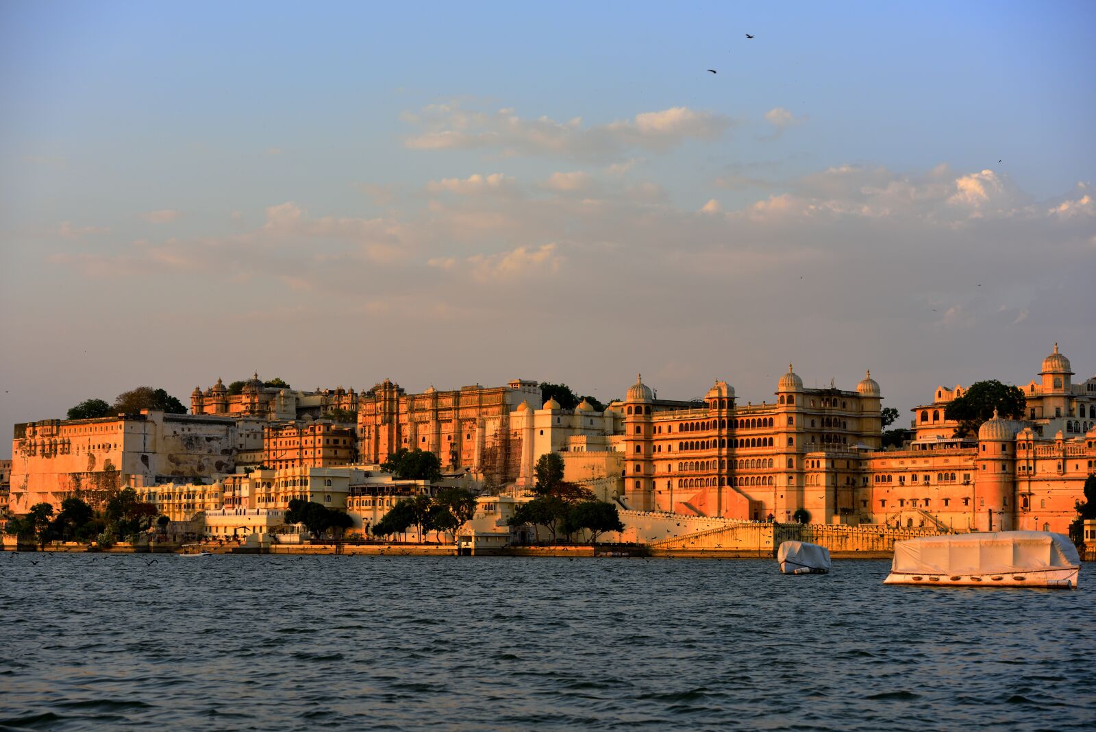 Nikon D810 sample photo. India, udaipur, 皮丘拉 lake photography