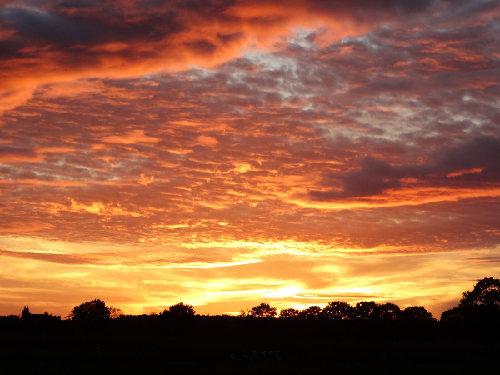 Sony Cyber-shot DSC-HX300 sample photo. Sunset, evening sky, clouds photography