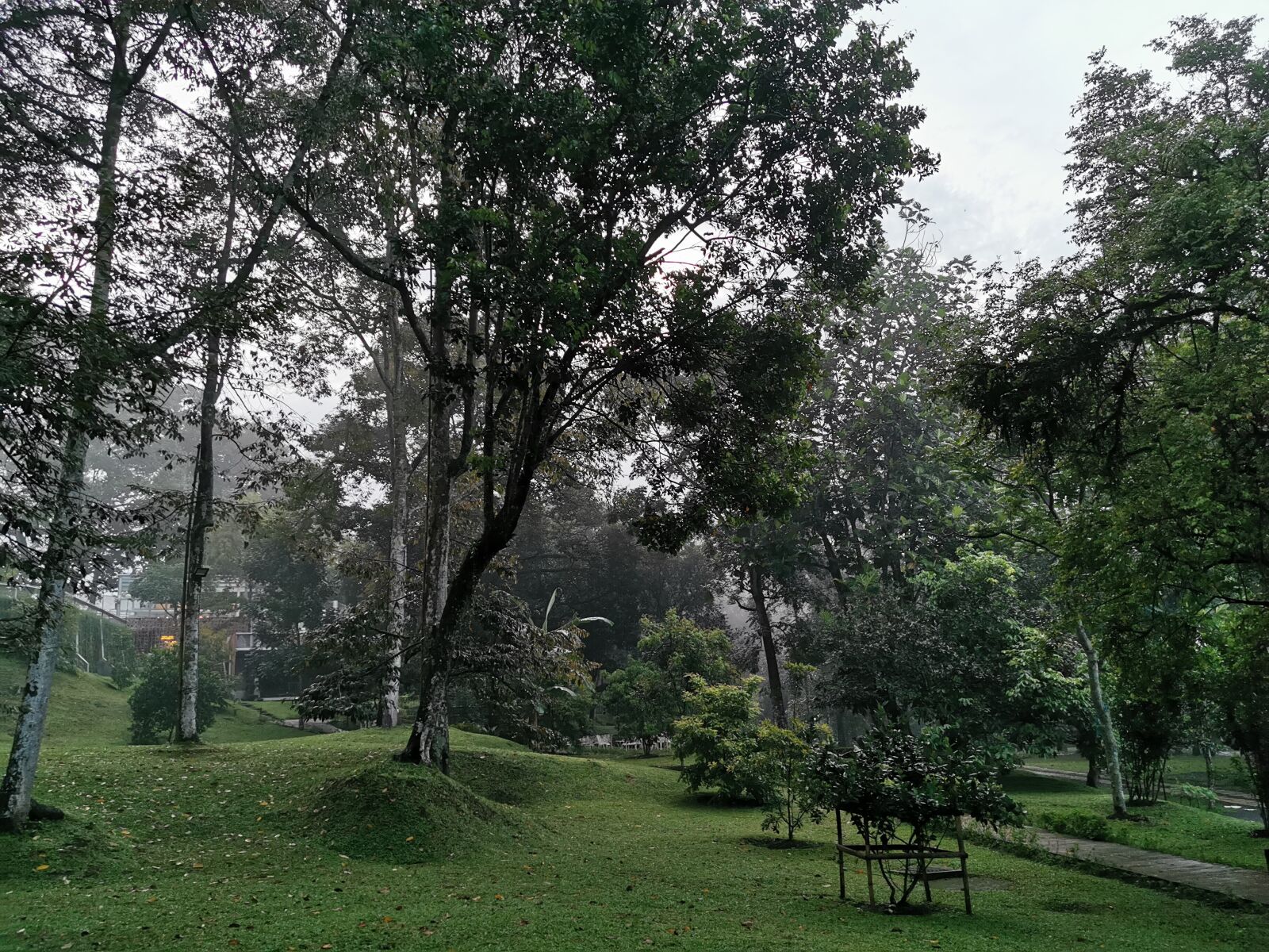 HUAWEI P30 Pro sample photo. Misty, morning, green photography