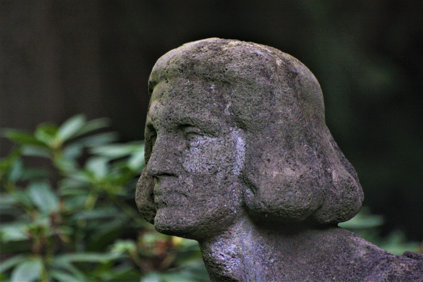 Canon EOS 1000D (EOS Digital Rebel XS / EOS Kiss F) sample photo. Prince, rock carving, angel photography