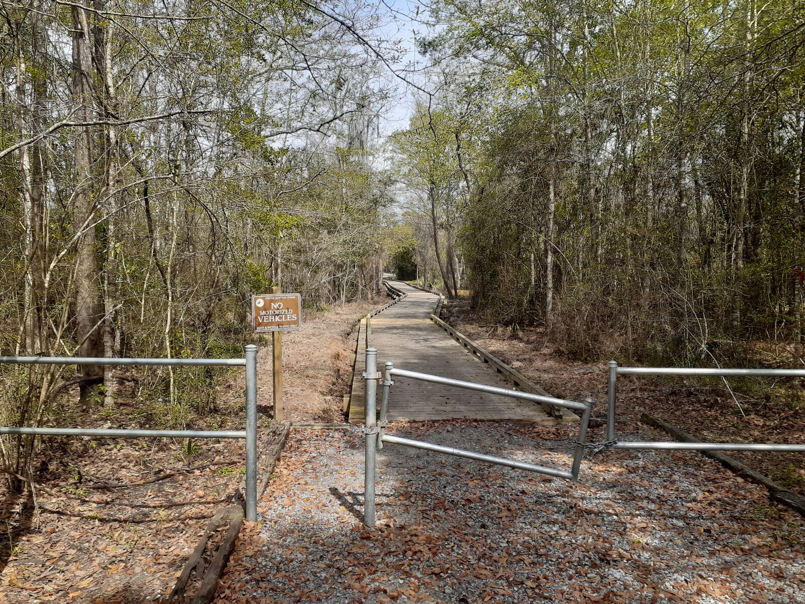 Samsung Galaxy A20 sample photo. Outdoors, swamp, louisiana photography