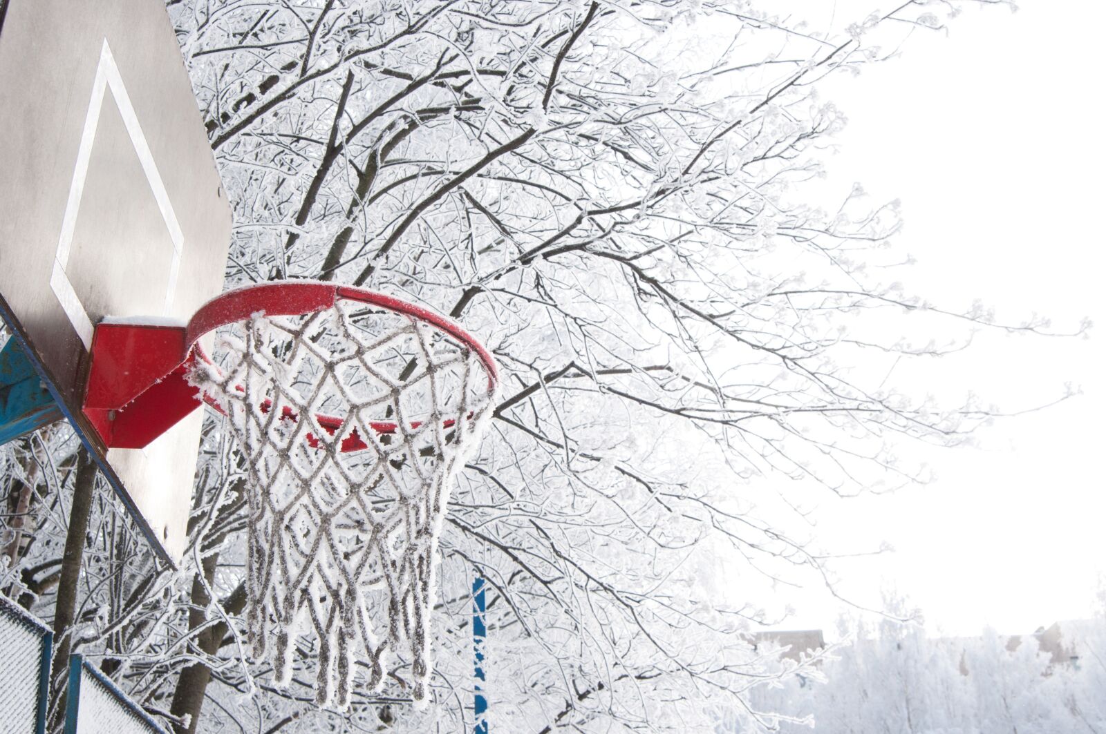 Nikon D300S sample photo. Winter, snow, coldly photography