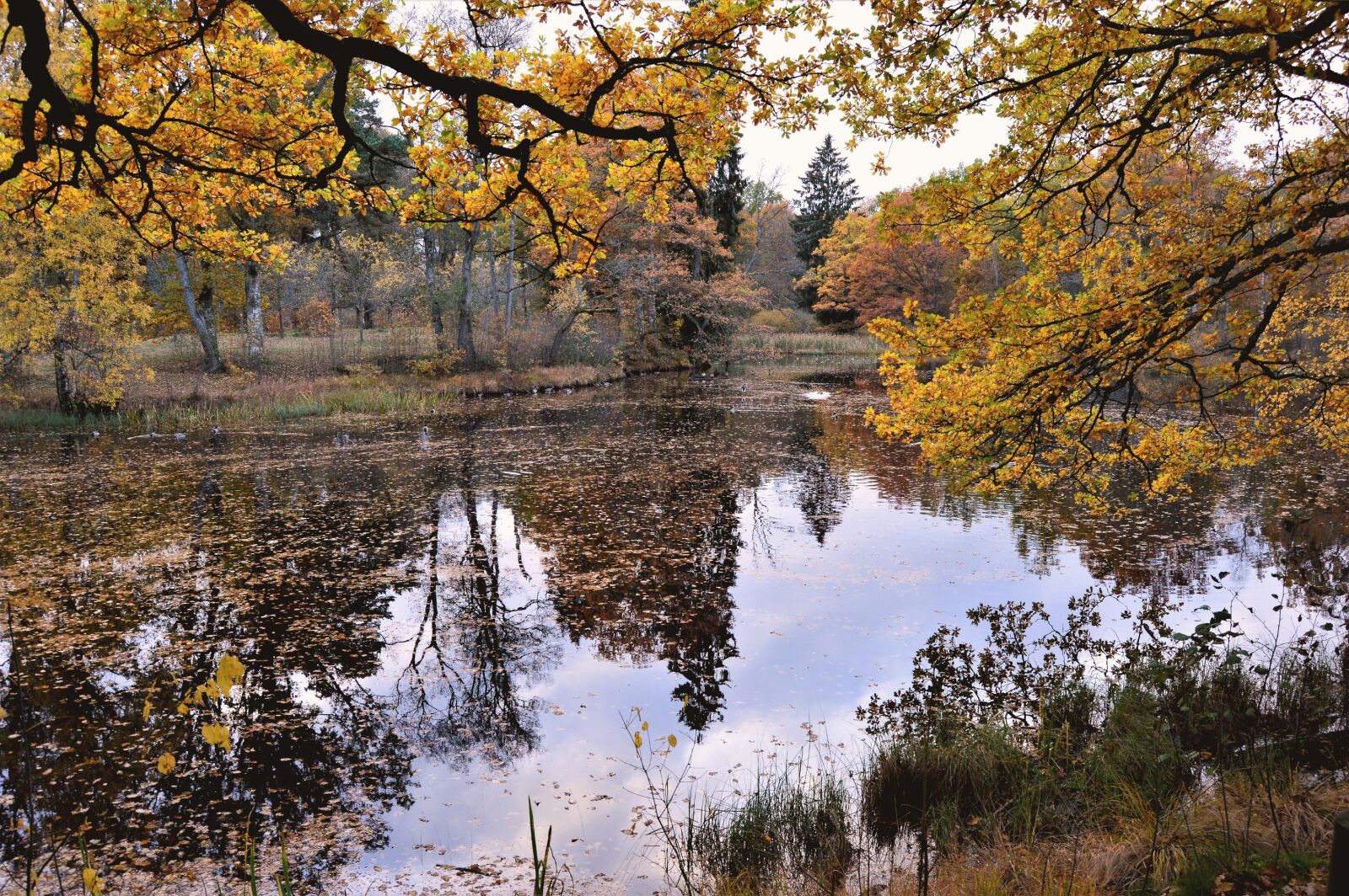 Nikon D3200 sample photo. Autumn, beautiful, fall, lake photography