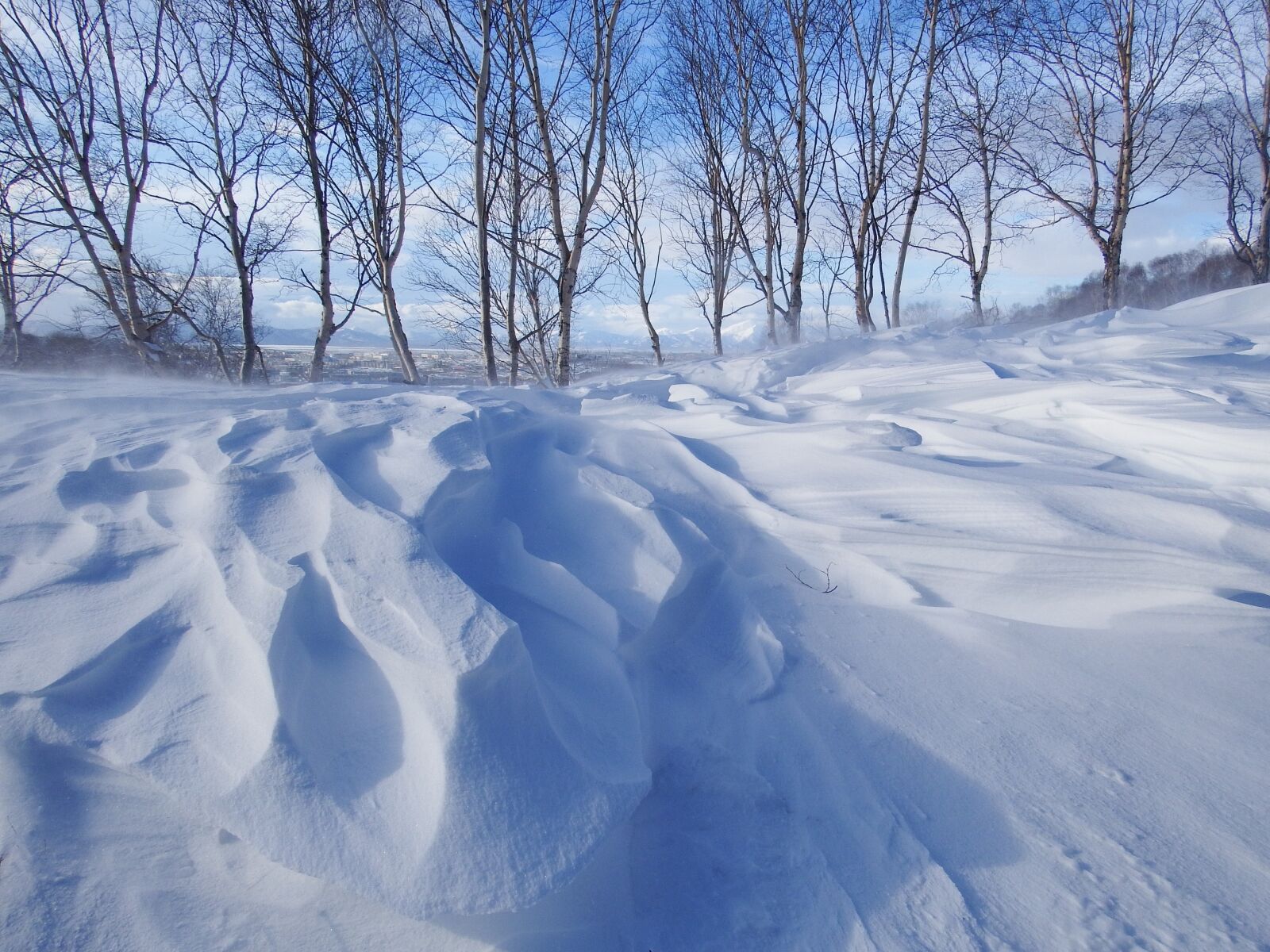 Fujifilm FinePix S1 sample photo. Winter, snow, cold photography
