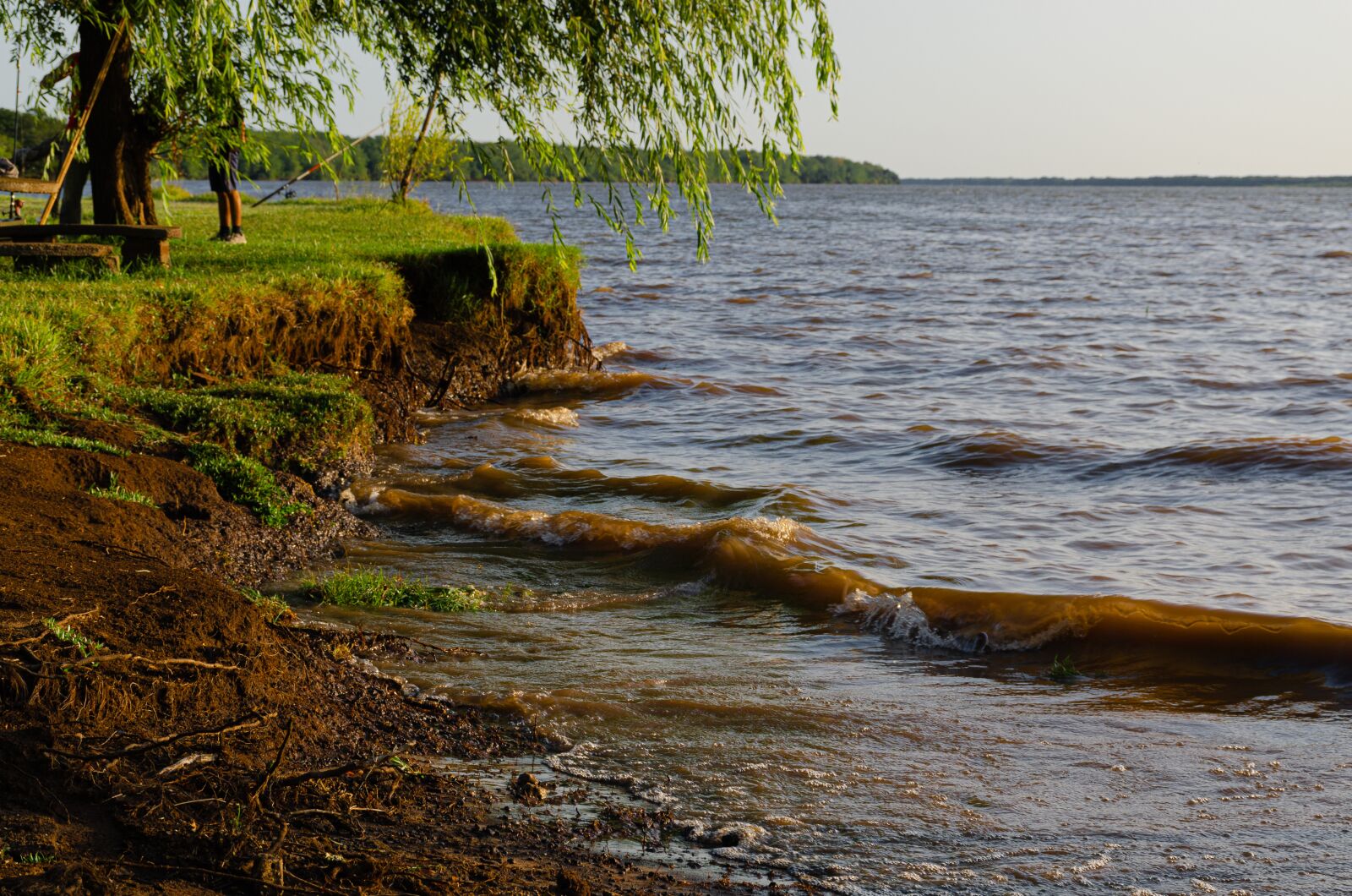 Nikon D7000 sample photo. Nature, uruguay, lands photography
