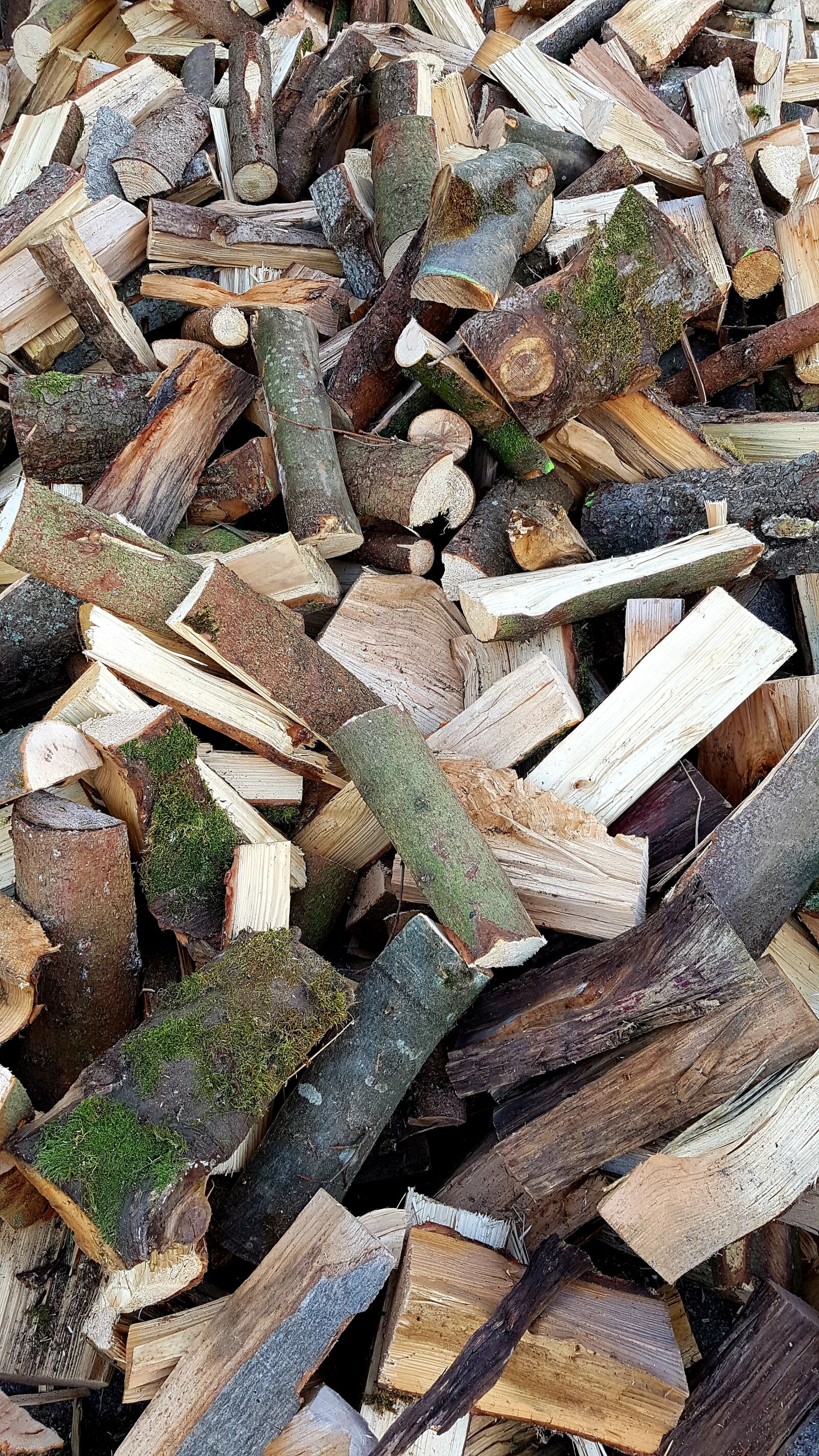 Samsung Galaxy S7 Edge sample photo. Wood, firewood, delivery photography