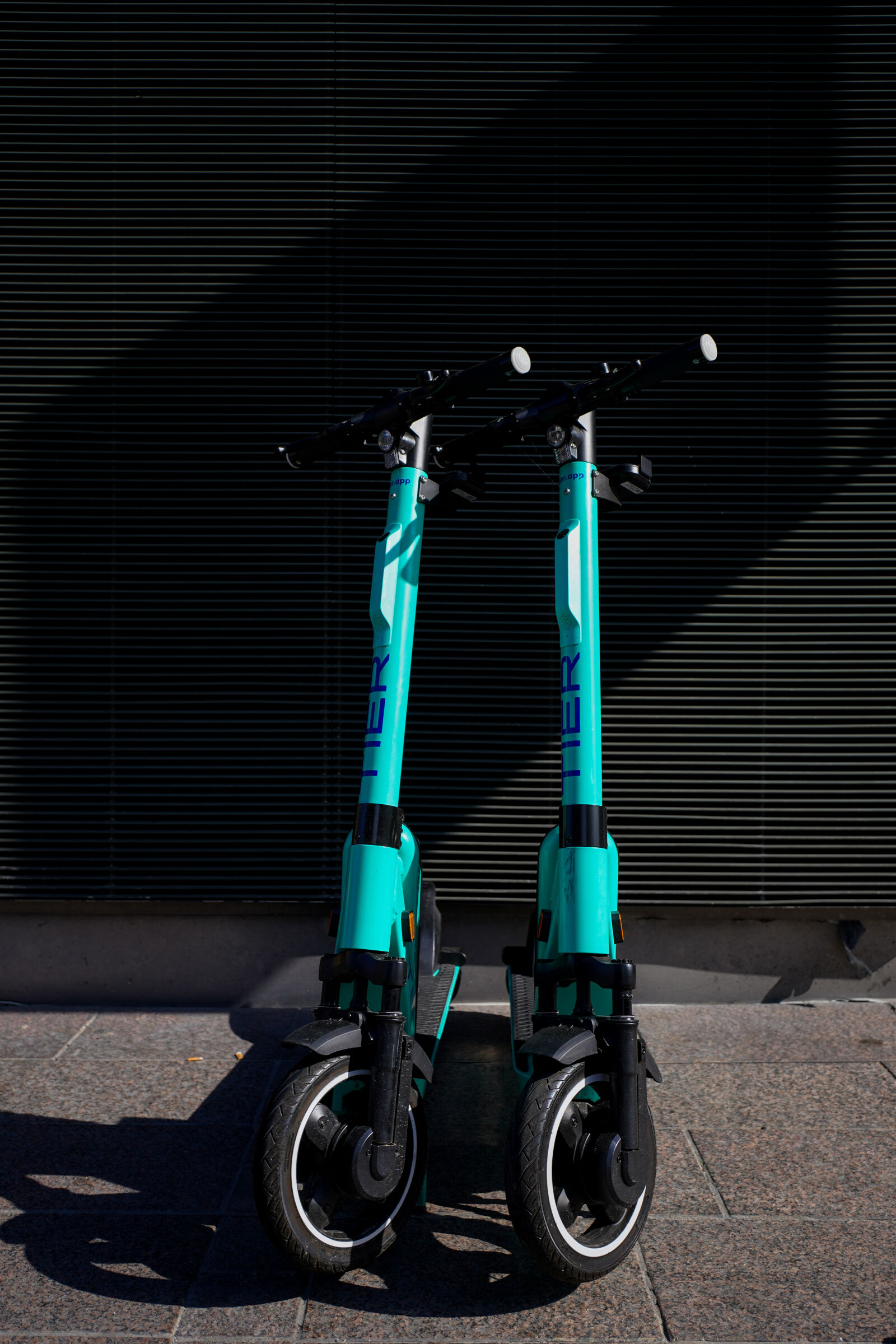 Tamron 11-20mm F2.8 Di III-A RXD sample photo. Tier for shadow photography