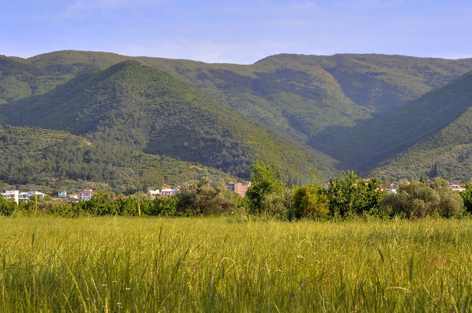 Nikon D90 sample photo. Mountain, plant, village photography