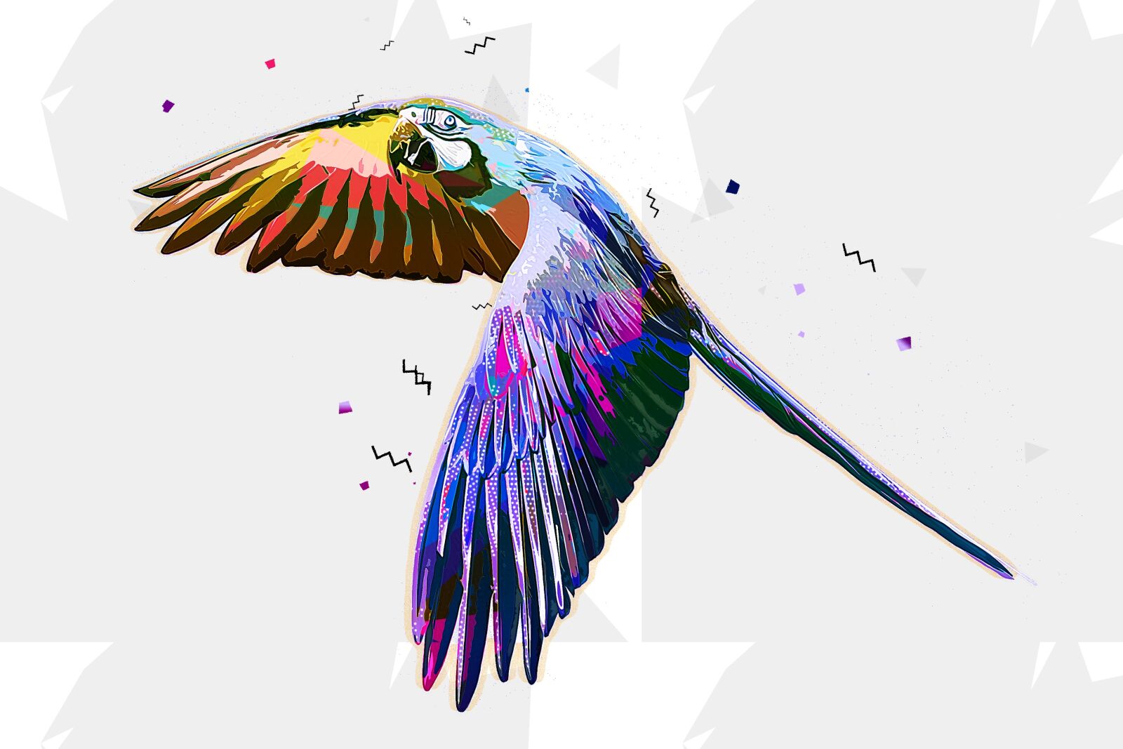 Nikon D500 sample photo. Parrot, bird, beak photography