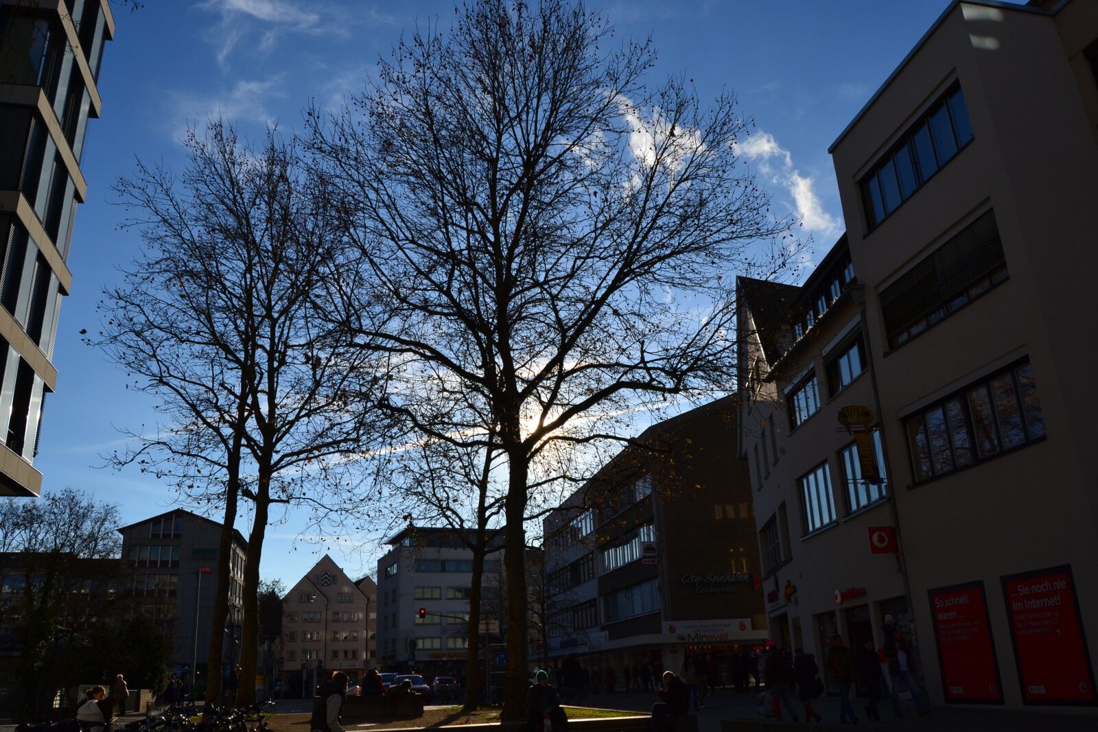 Nikon D3100 sample photo. Ulm, tree, stadtmitte photography