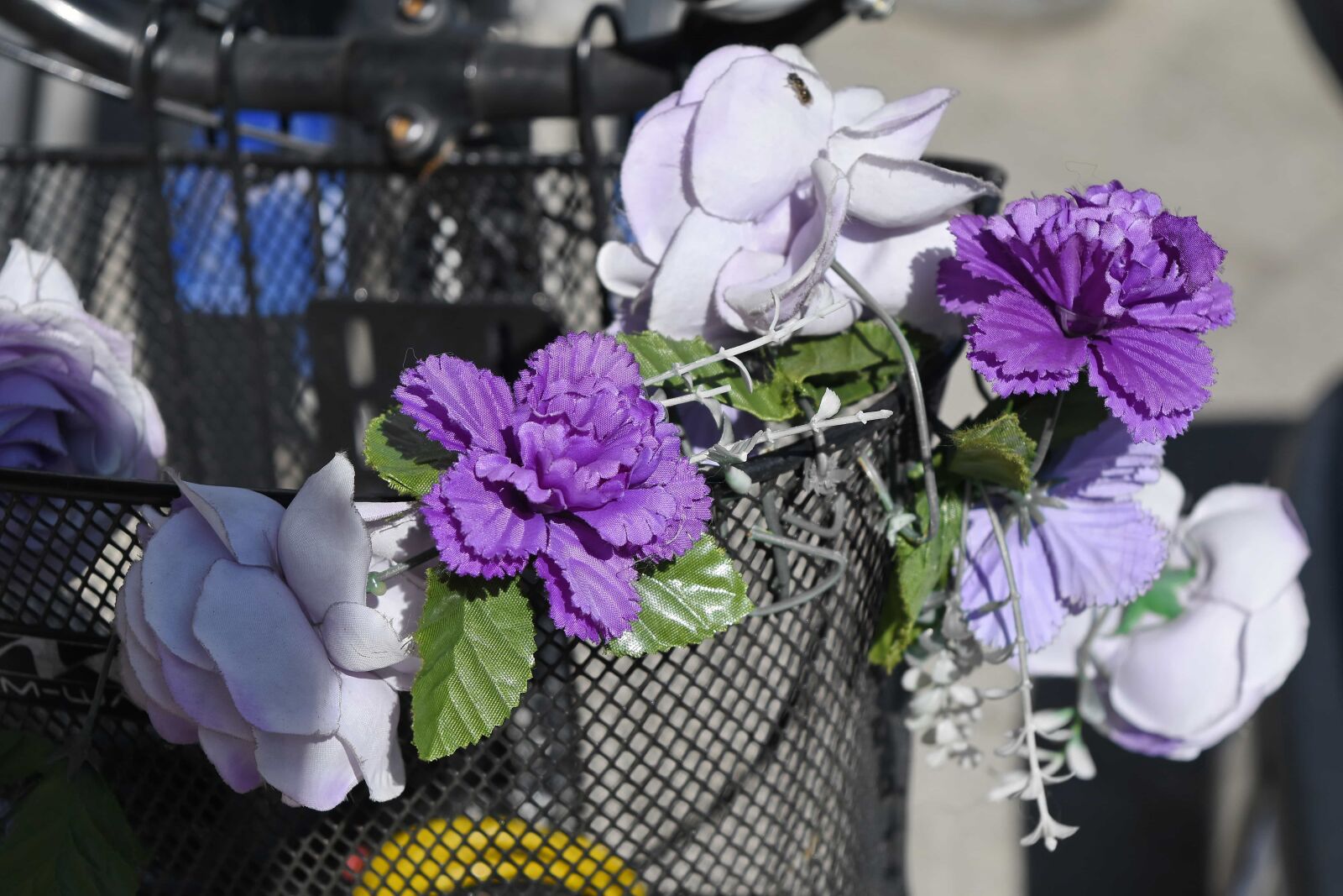 Nikon D5500 sample photo. Bicycle, steering wheel, flower photography
