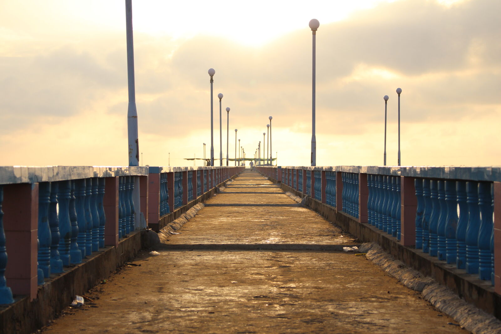 Canon EOS 700D (EOS Rebel T5i / EOS Kiss X7i) sample photo