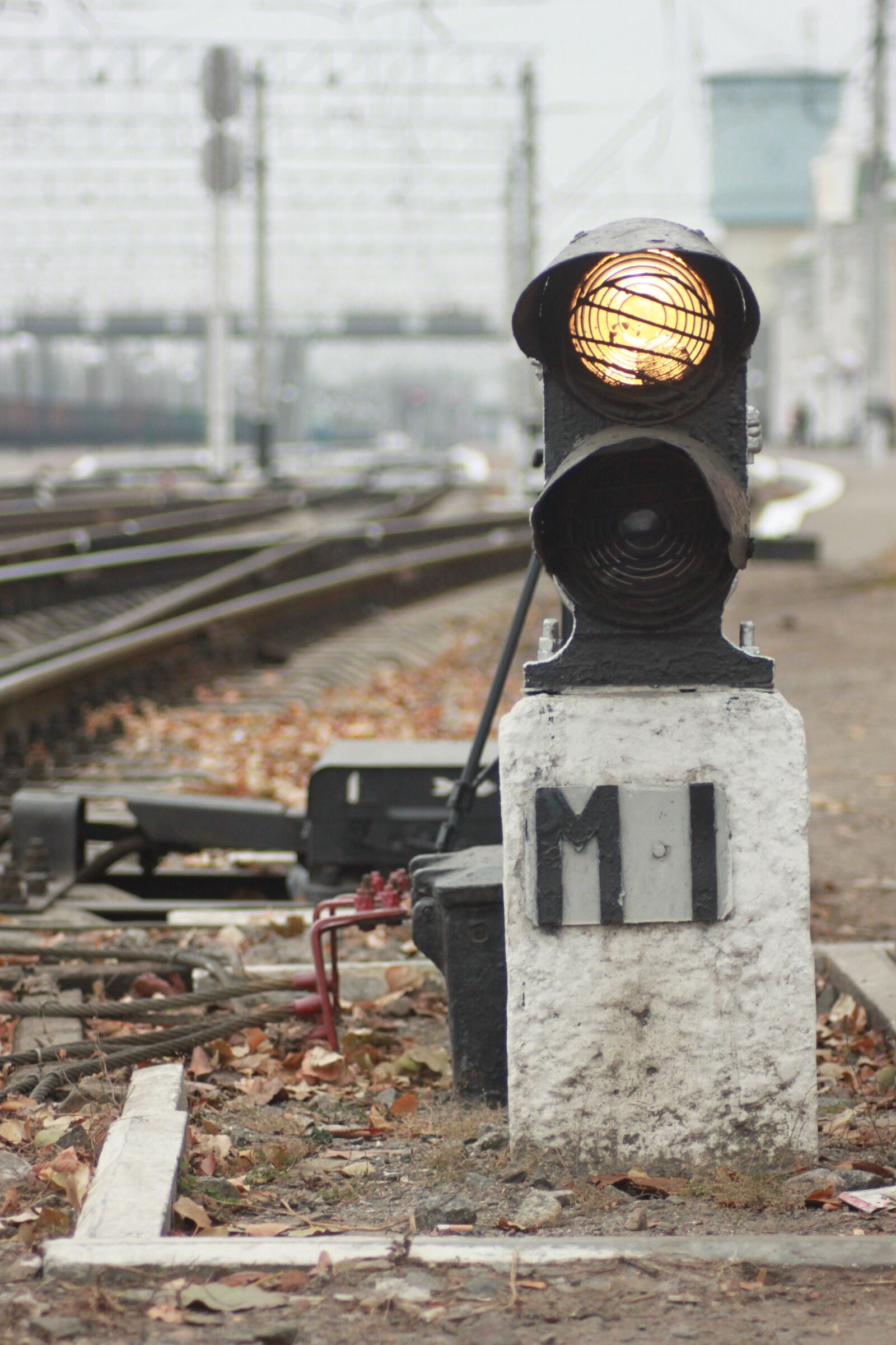 Canon EOS 500D (EOS Rebel T1i / EOS Kiss X3) sample photo. Railway, station, train photography