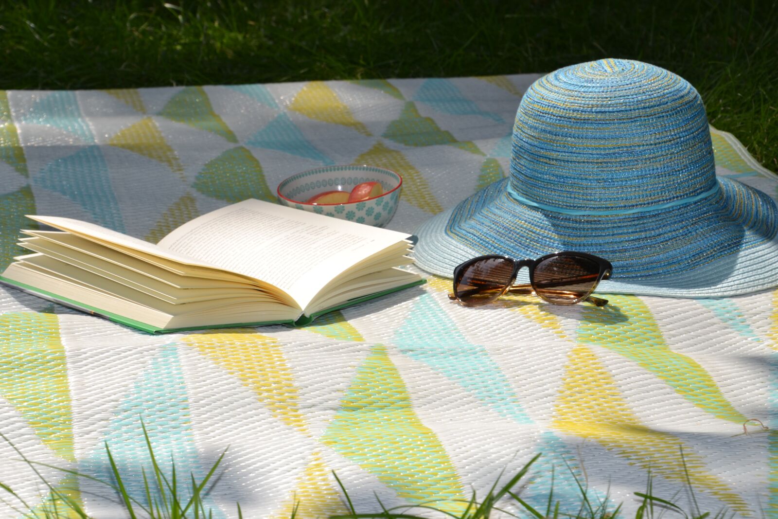 Nikon D3100 sample photo. Summer, sun, book photography