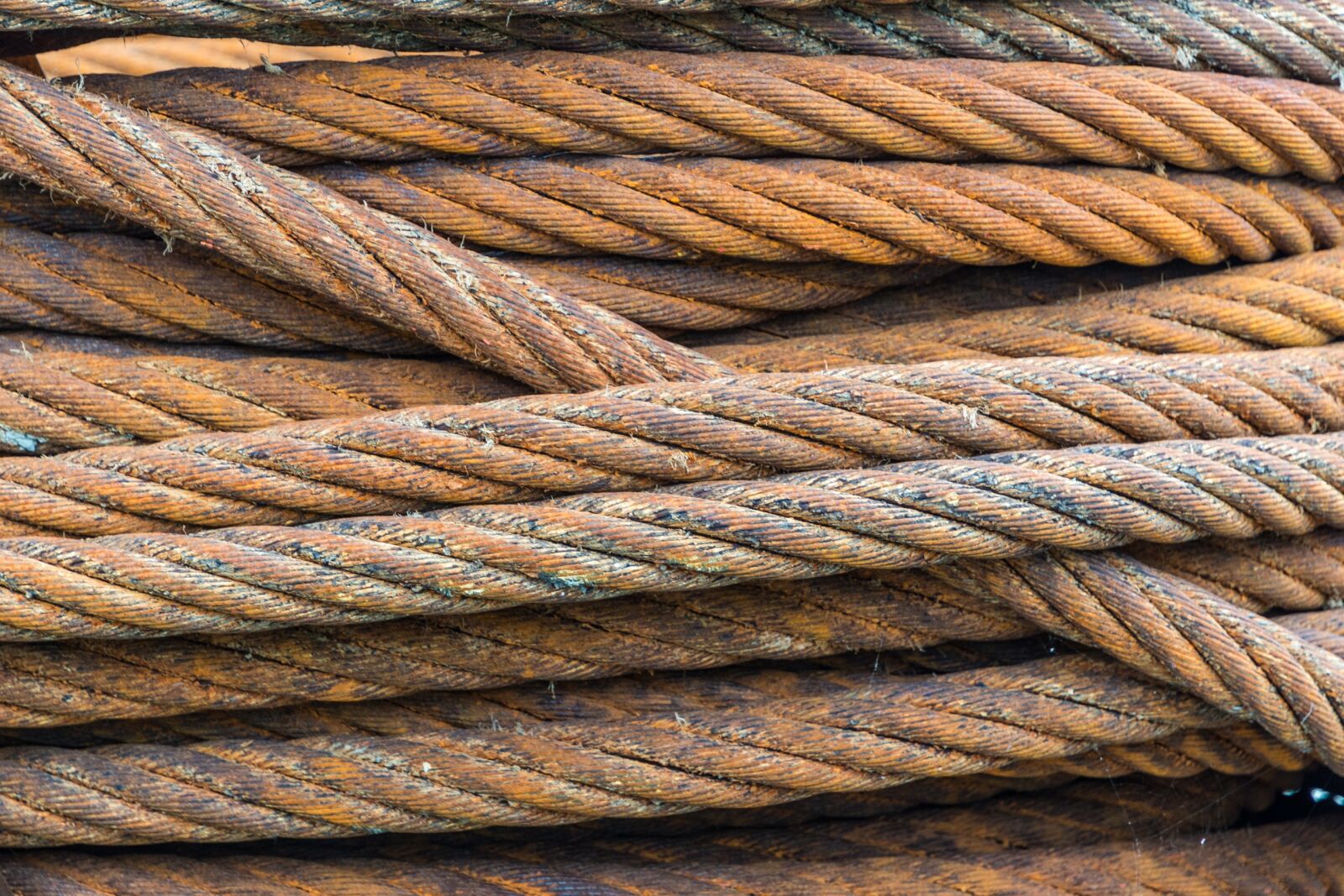 Nikon D7200 sample photo. Wire, wire rope, rust photography