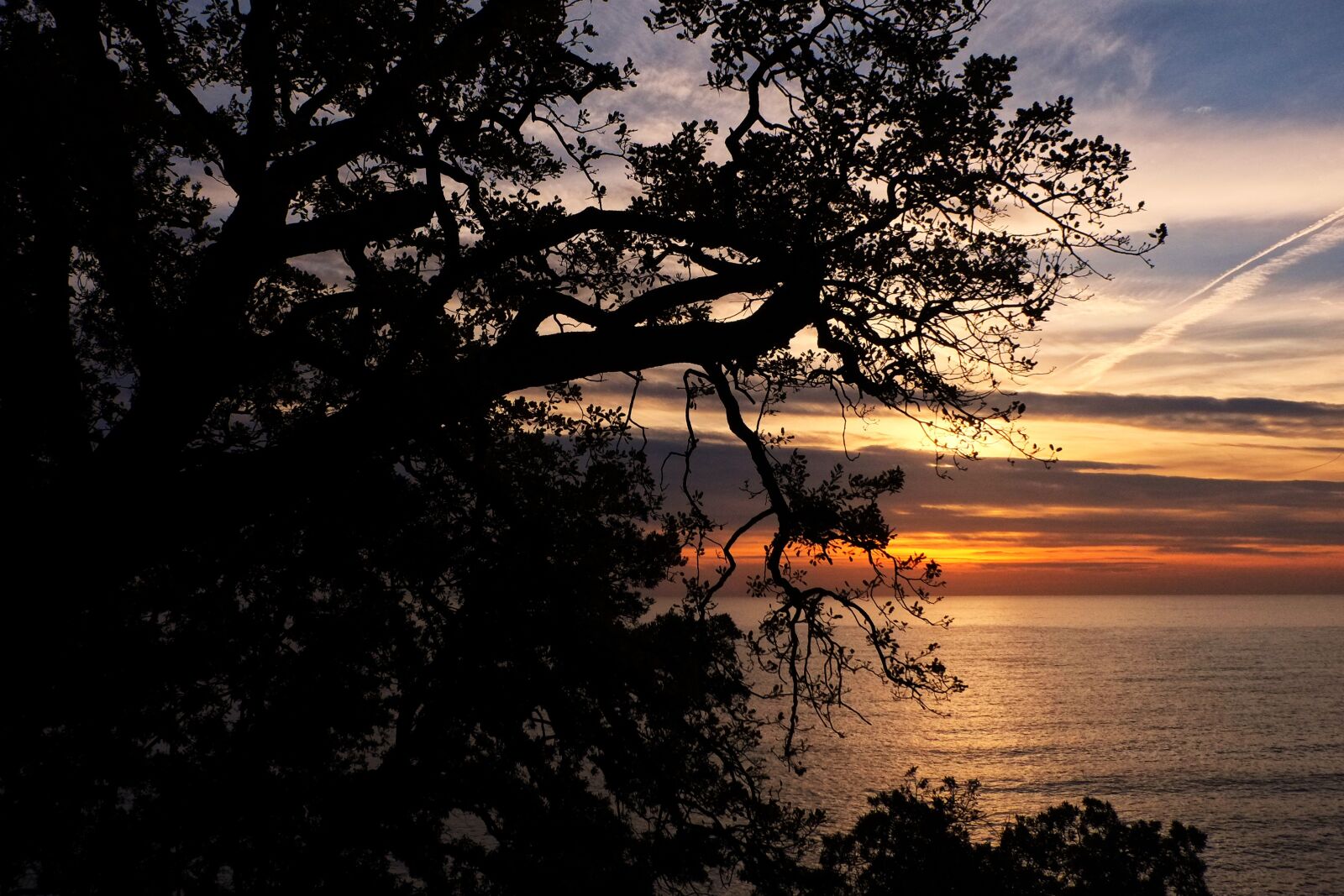 Fujifilm XC 16-50mm F3.5-5.6 OIS sample photo. Sunset, camogli, landscape photography
