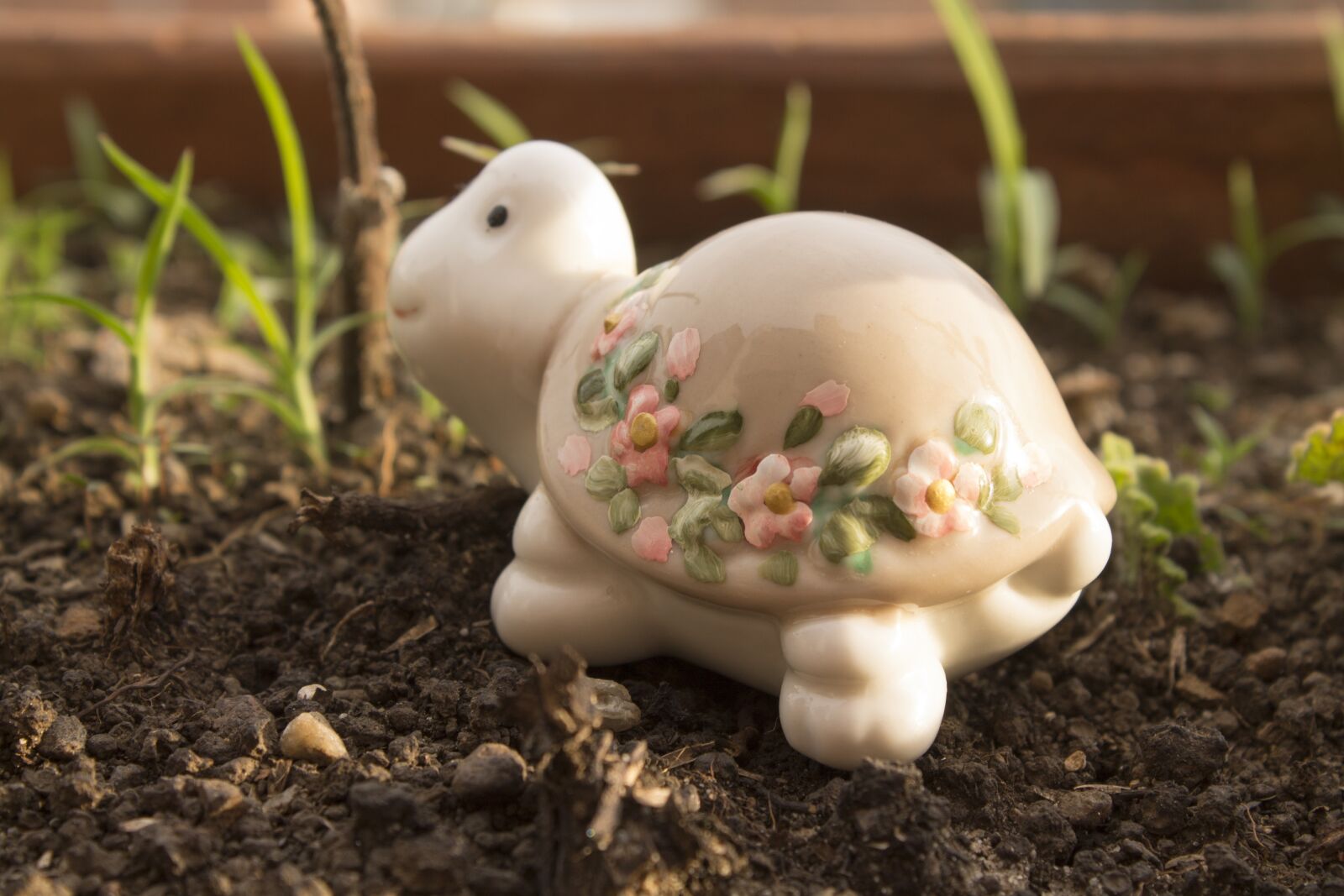 Canon EOS 1100D (EOS Rebel T3 / EOS Kiss X50) sample photo. Turtle, ceramic, of photography