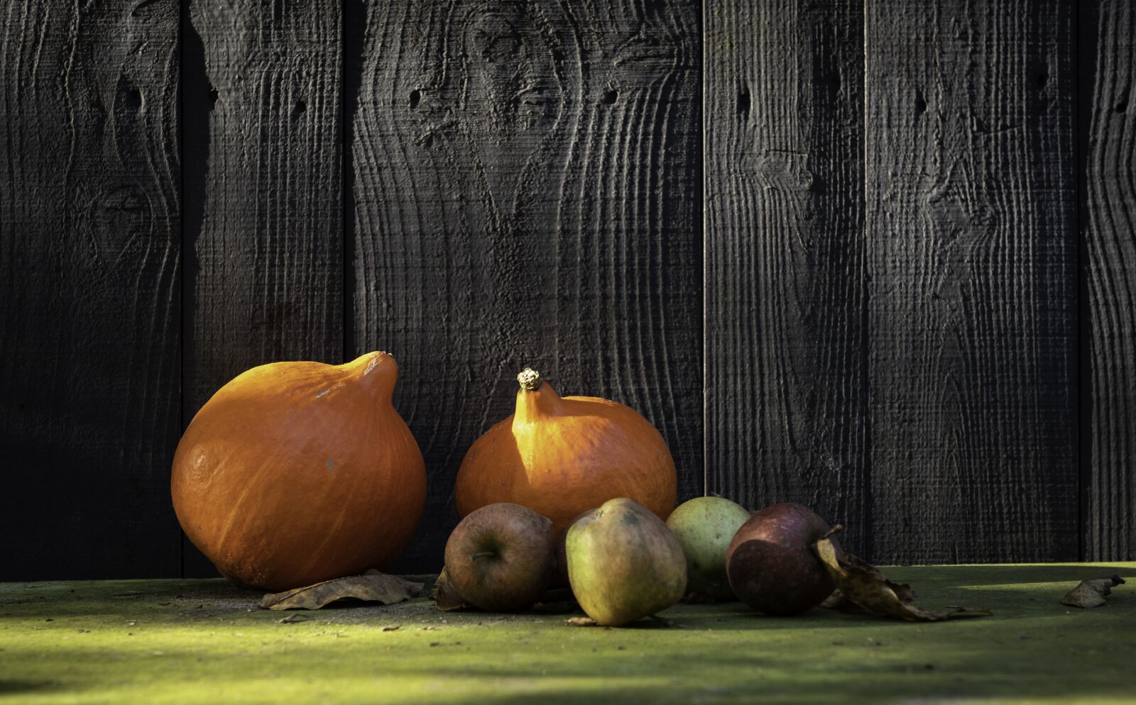 Pentax KP sample photo. Pumpkin, autumn, autum photography