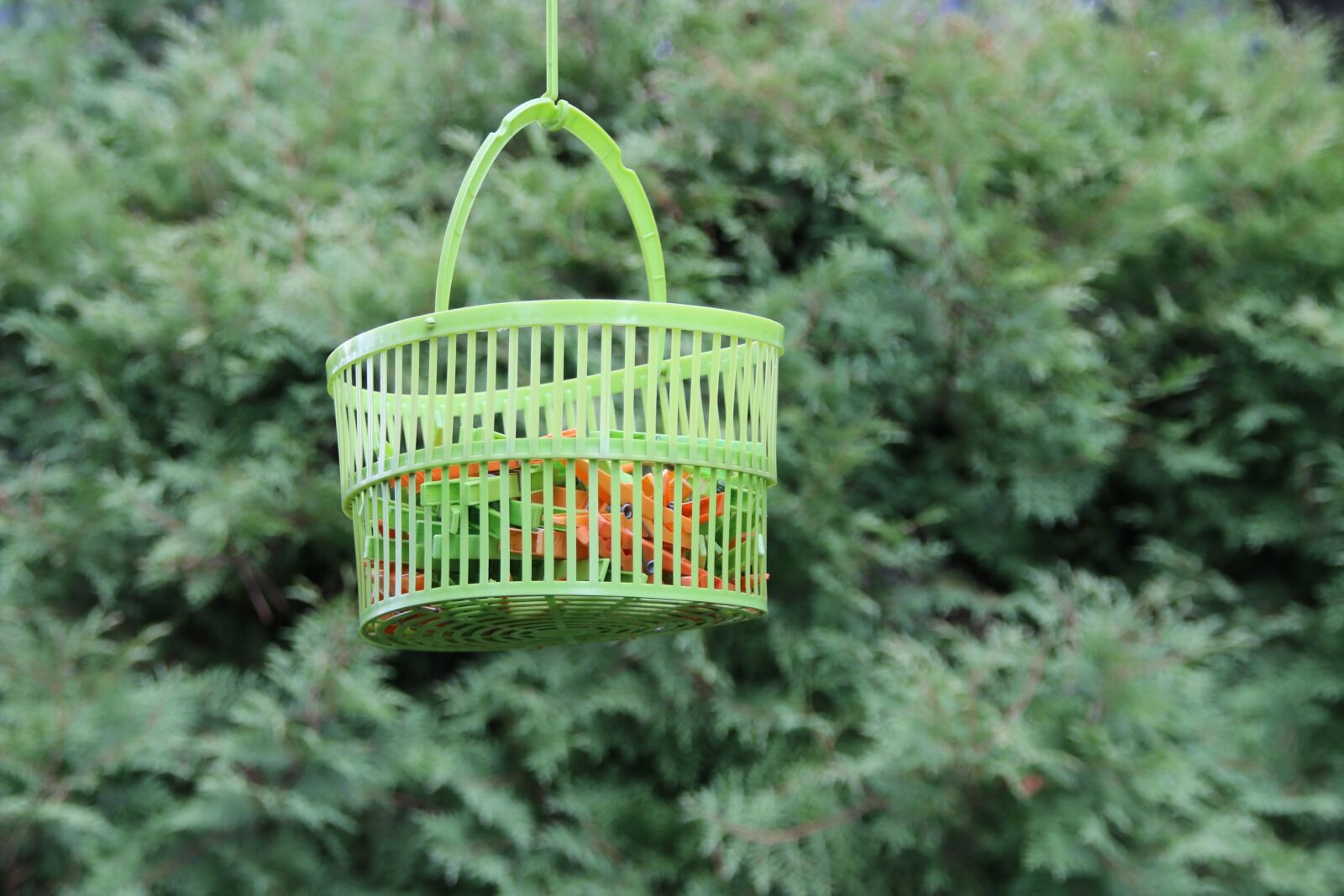 Canon EOS 70D sample photo. Clothespins, basket, the background photography