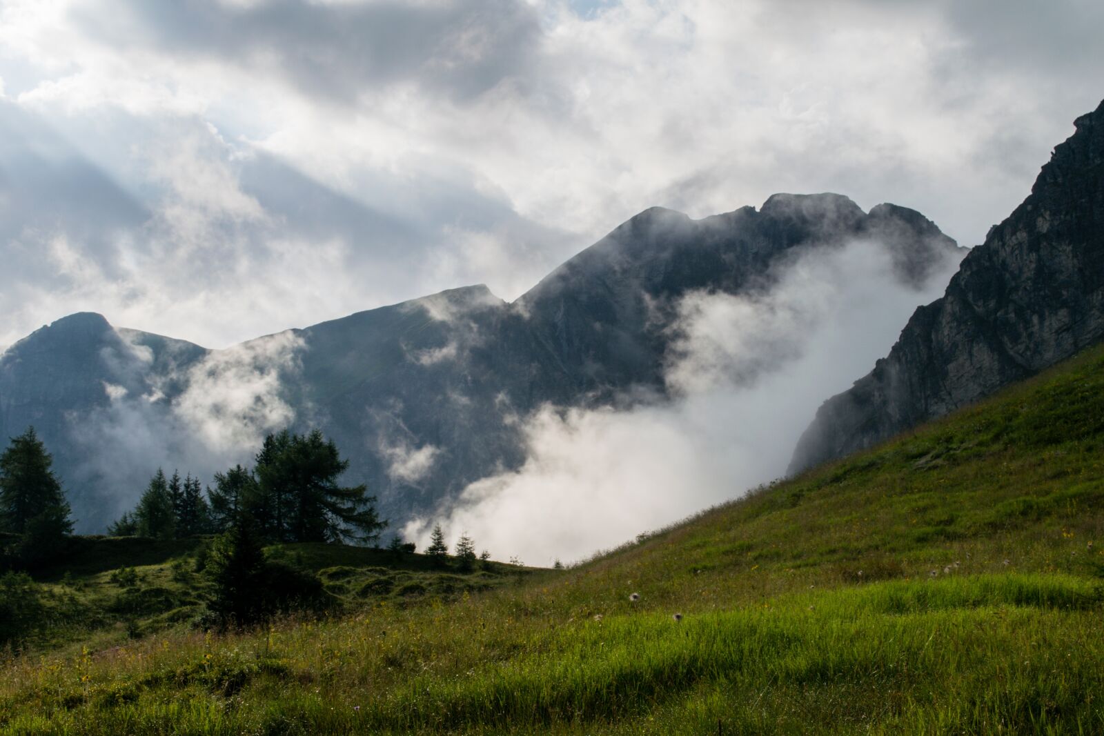 Nikon D5300 sample photo. Mood, fog, clouds photography