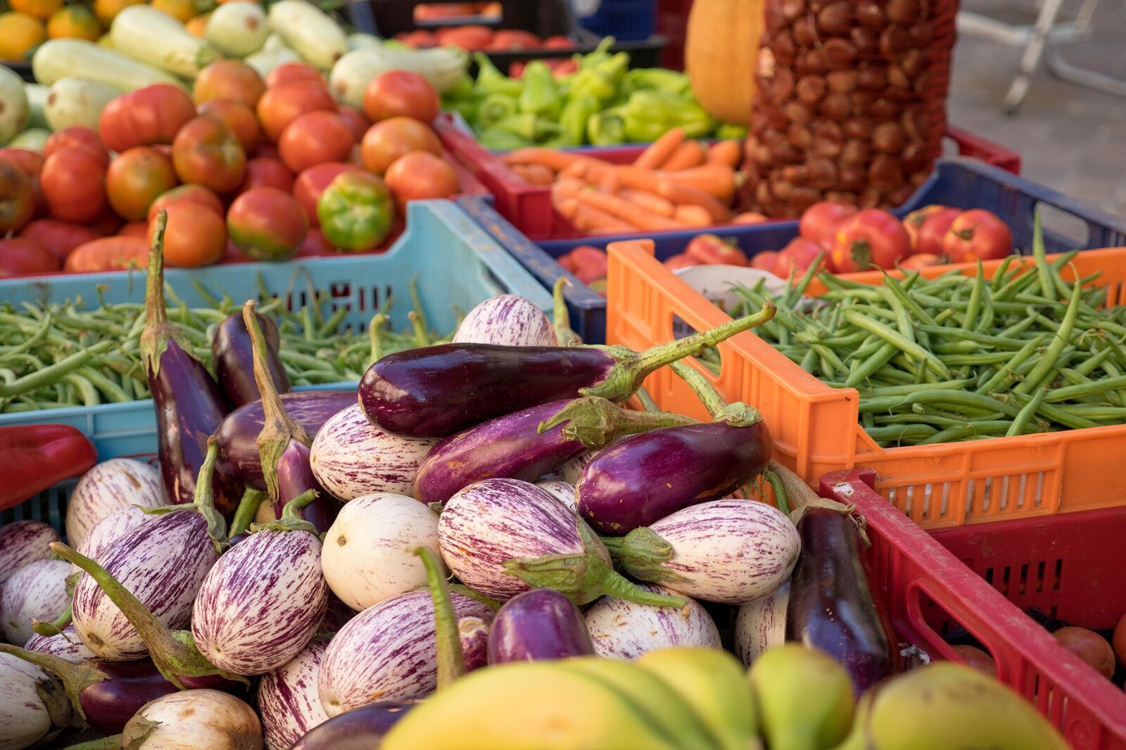 Olympus OM-D E-M1 sample photo. Vegetables, tomatoes, red photography