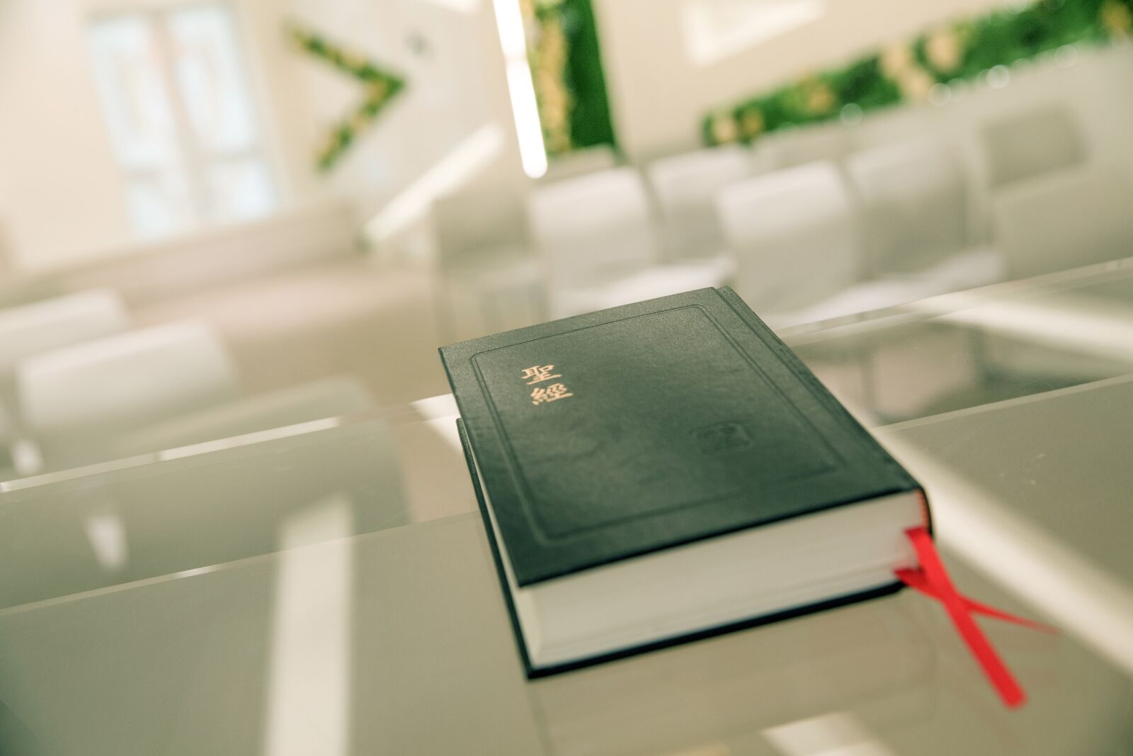 Canon EF 24-70mm F2.8L II USM sample photo. Bible, church, worship photography