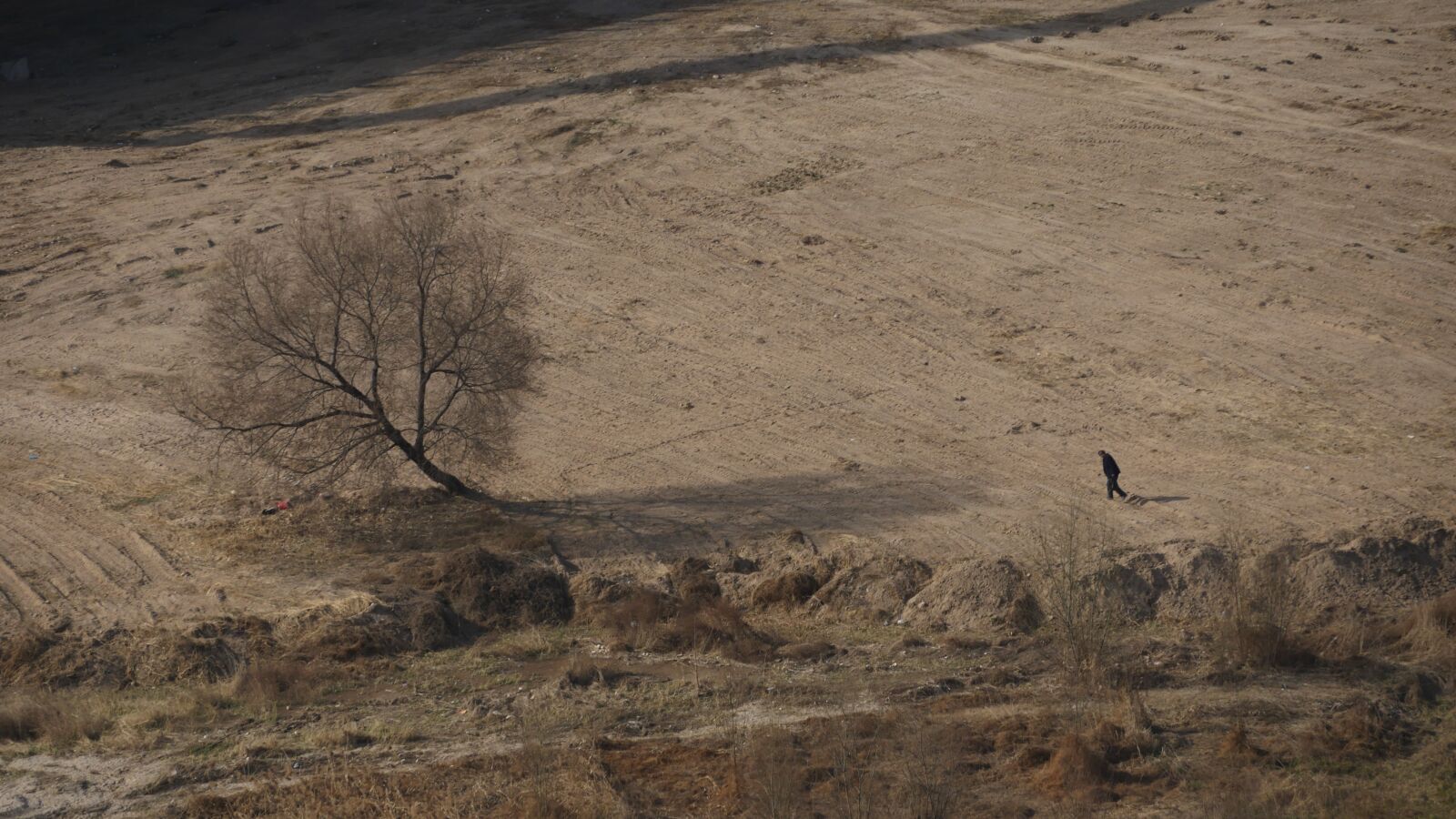 Panasonic Lumix DMC-GH4 sample photo. Nature, sha, outdoor photography