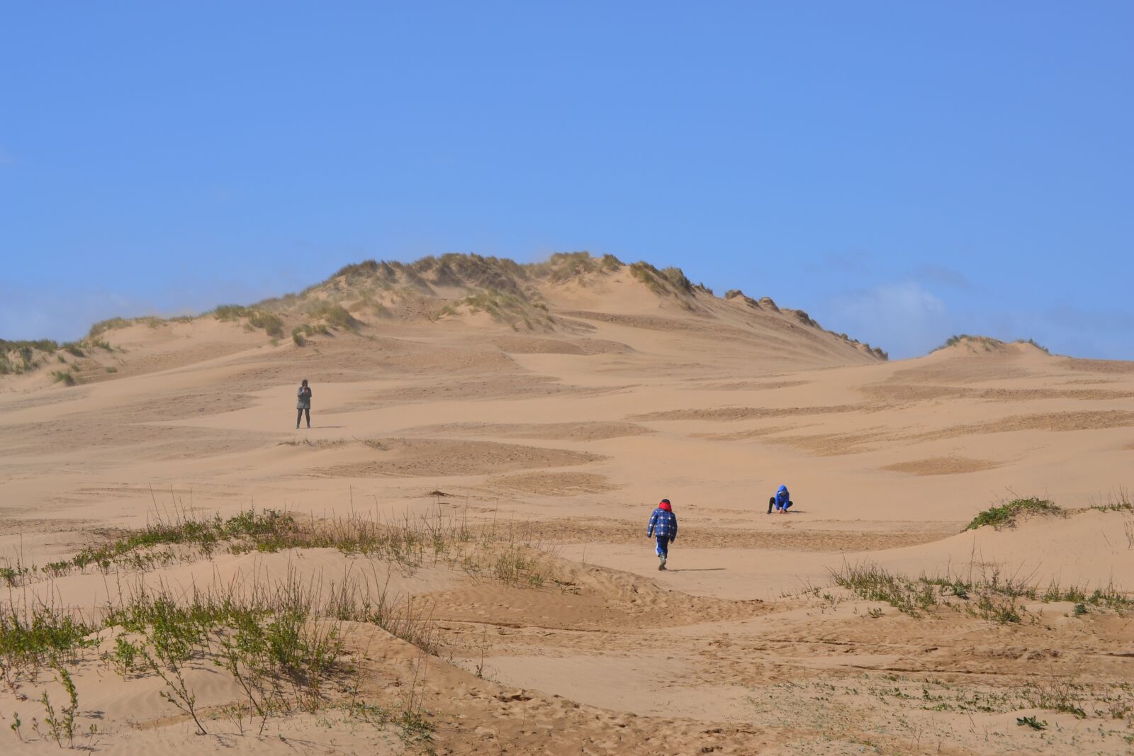 Nikon D3100 sample photo. Devon, desert, england photography