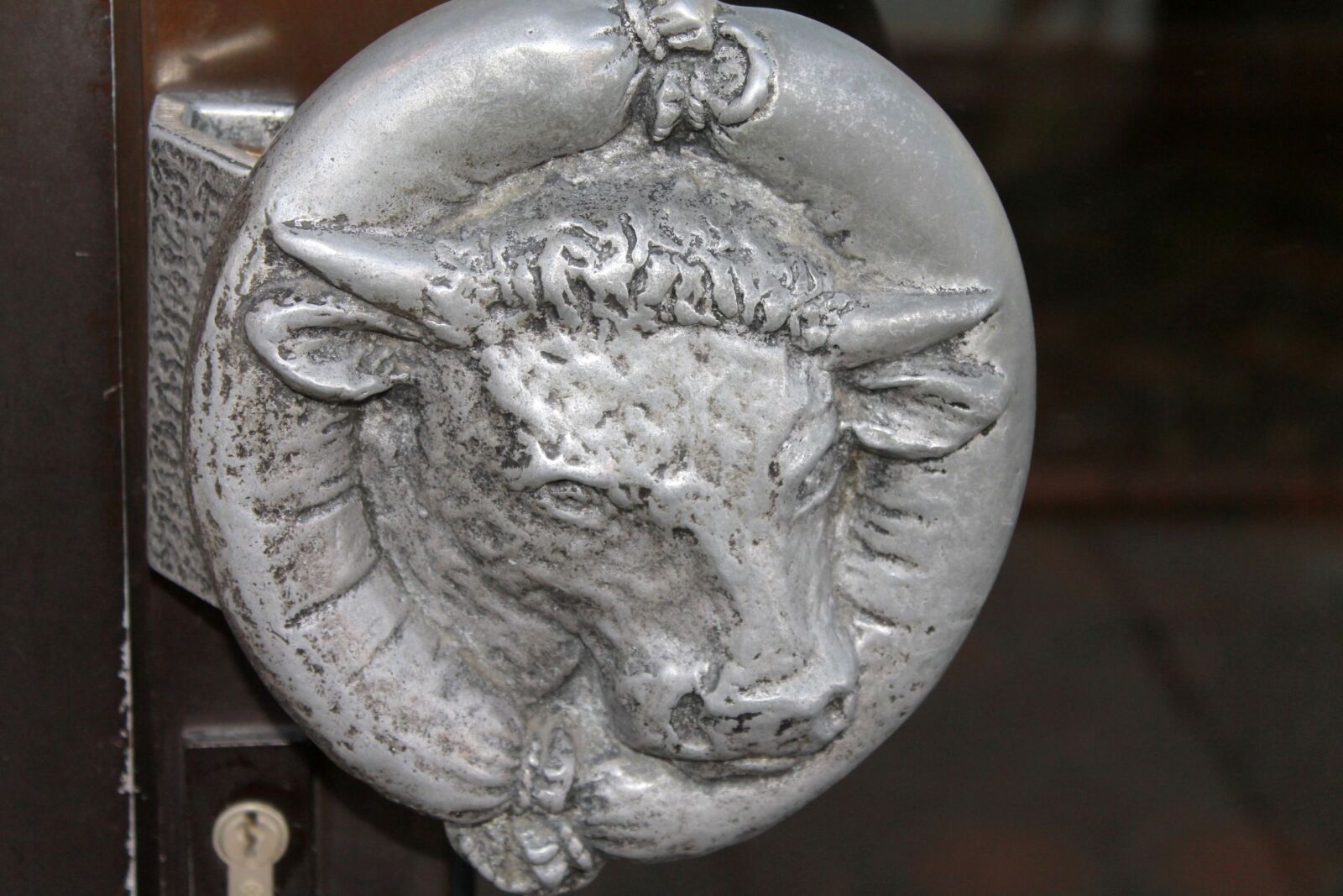 Canon EOS 1100D (EOS Rebel T3 / EOS Kiss X50) sample photo. Door handle, cow, outside photography