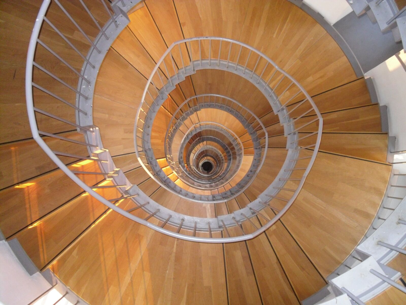 Samsung L201 / VLUU L201 sample photo. Stairway, wood, snail photography