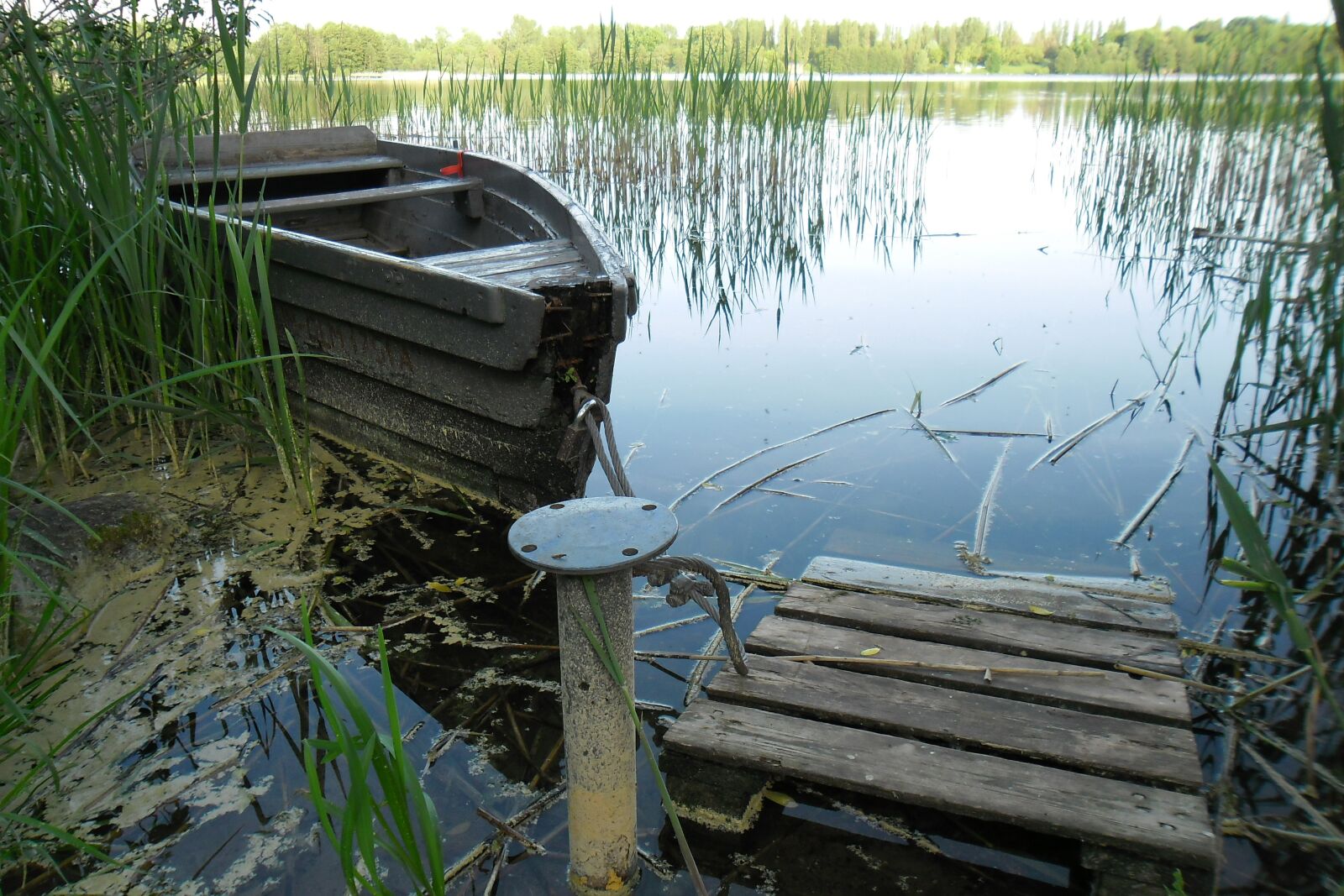 Samsung ES80/ ES81 sample photo. Nature, lake, boat photography