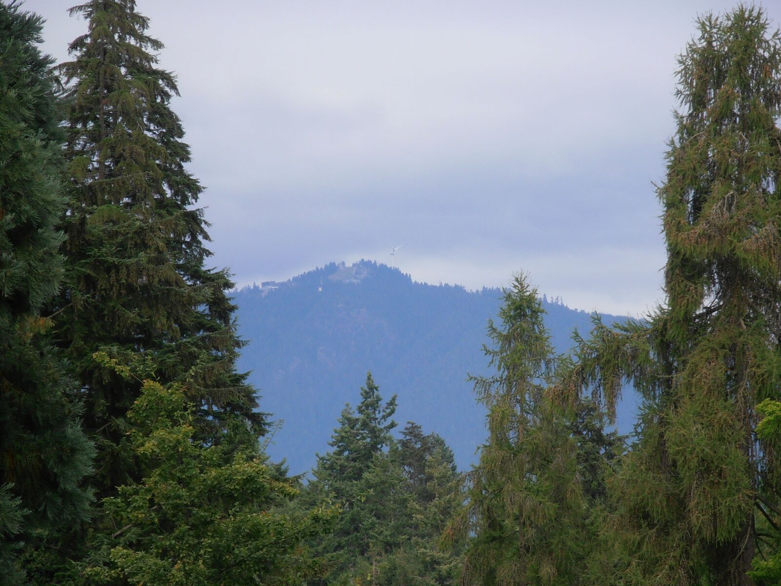 Olympus VR310,D720 sample photo. Mountain-view, trees, hill photography
