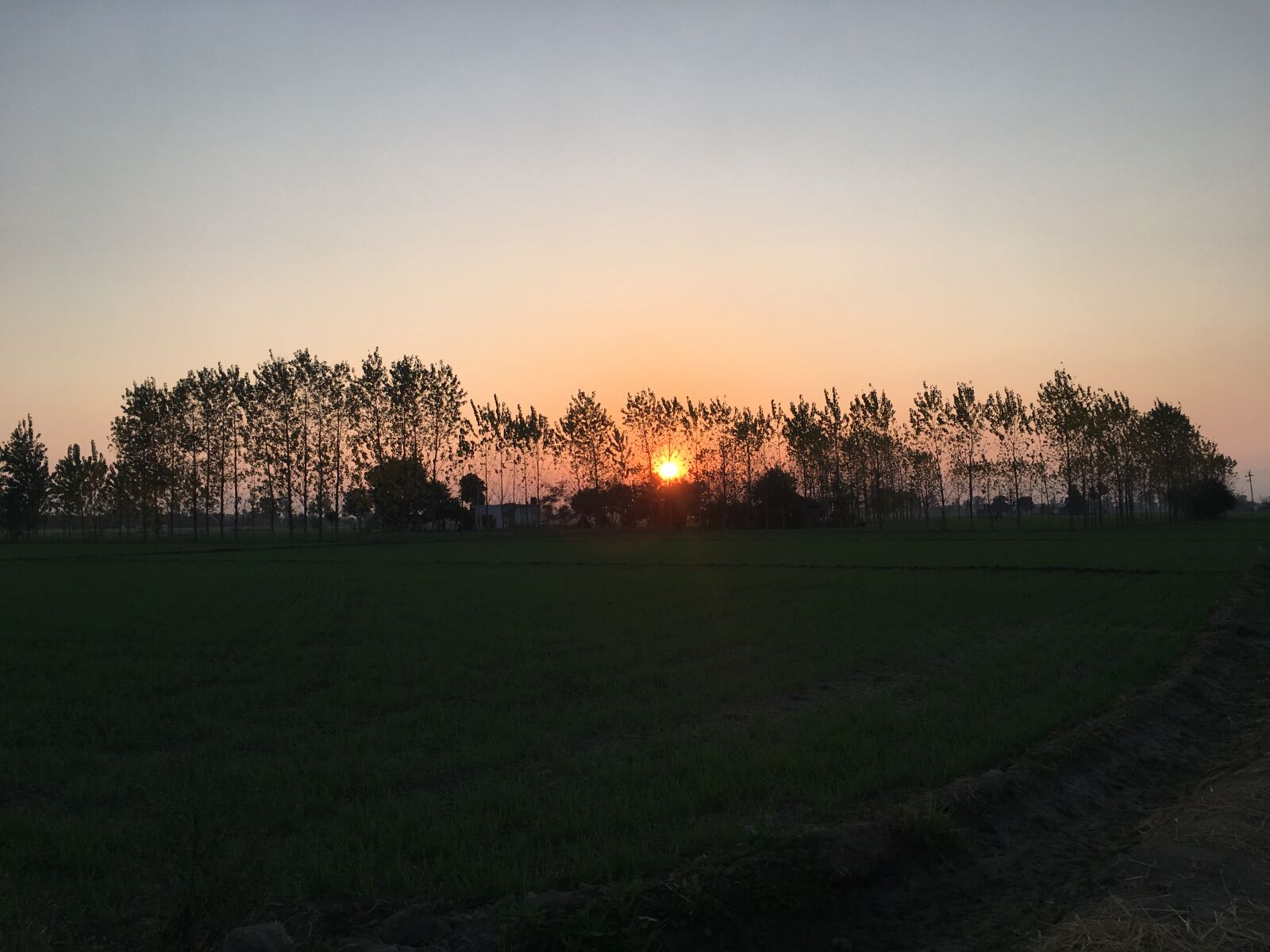 Apple iPhone 6s sample photo