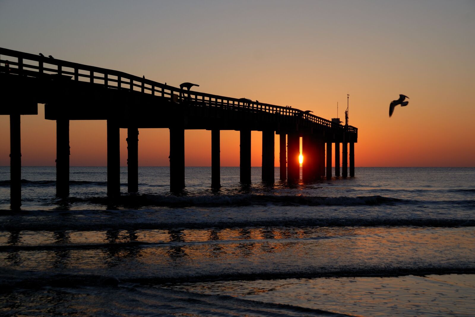 Nikon D200 sample photo. Fishing pier, pier, sunrise photography