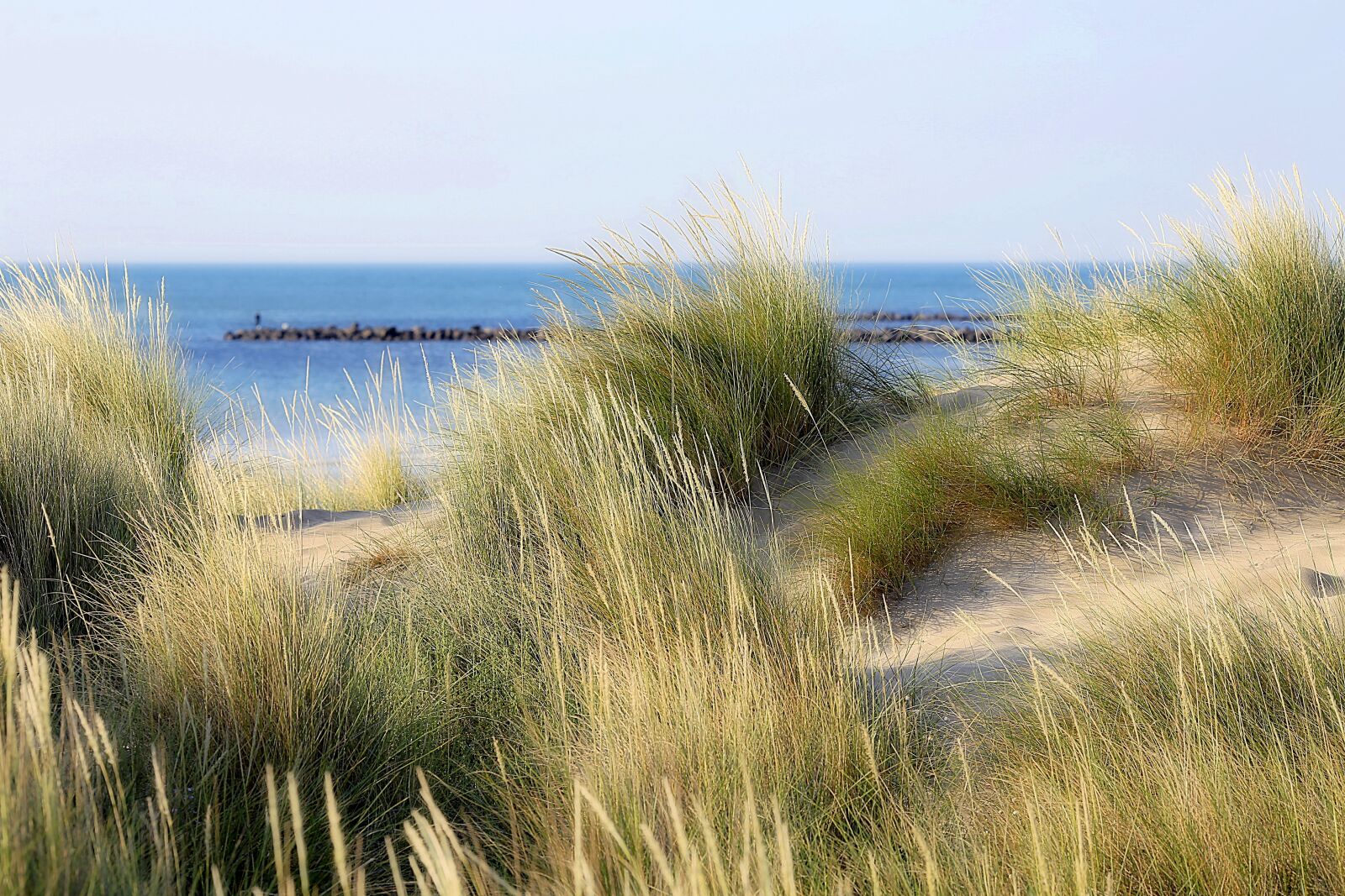Canon EOS 5D Mark III sample photo. Landscape, sea, mediterranean sea photography