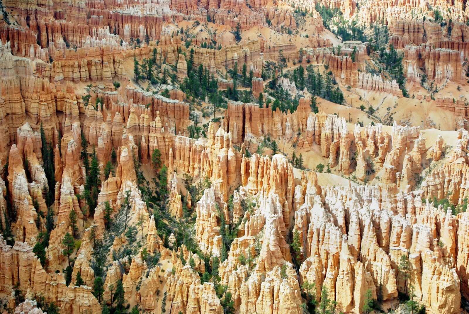 Pentax K200D sample photo. Usa, bryce canyon, utah photography