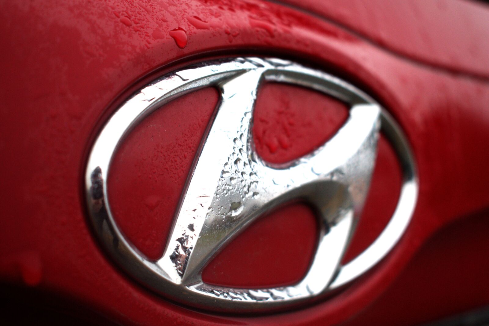 Nikon D3300 sample photo. Hyundai, logo, auto photography