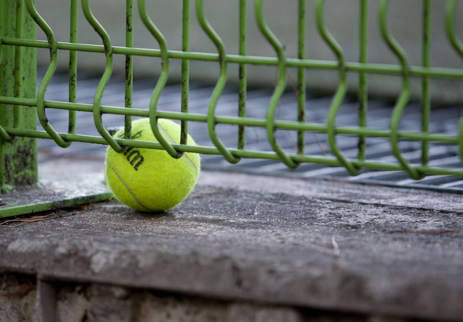 Canon EOS 5D sample photo. Tennis, exercise, hobby photography