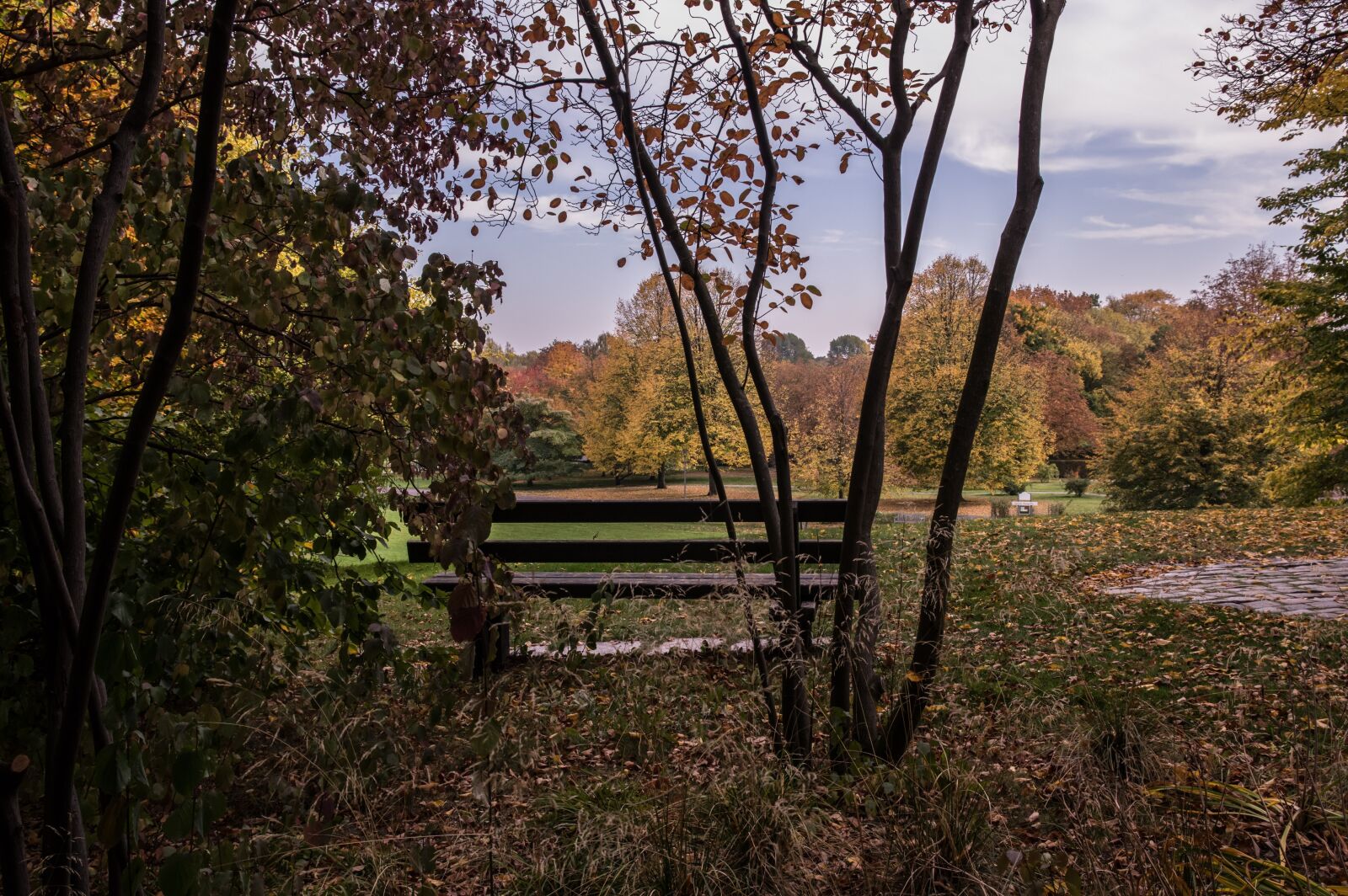 Pentax K-3 sample photo. Autumn, park bench, nature photography