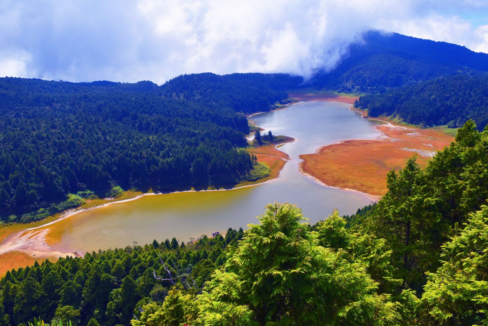 Nikon D5600 sample photo. Victoria peak, cuifeng lake photography