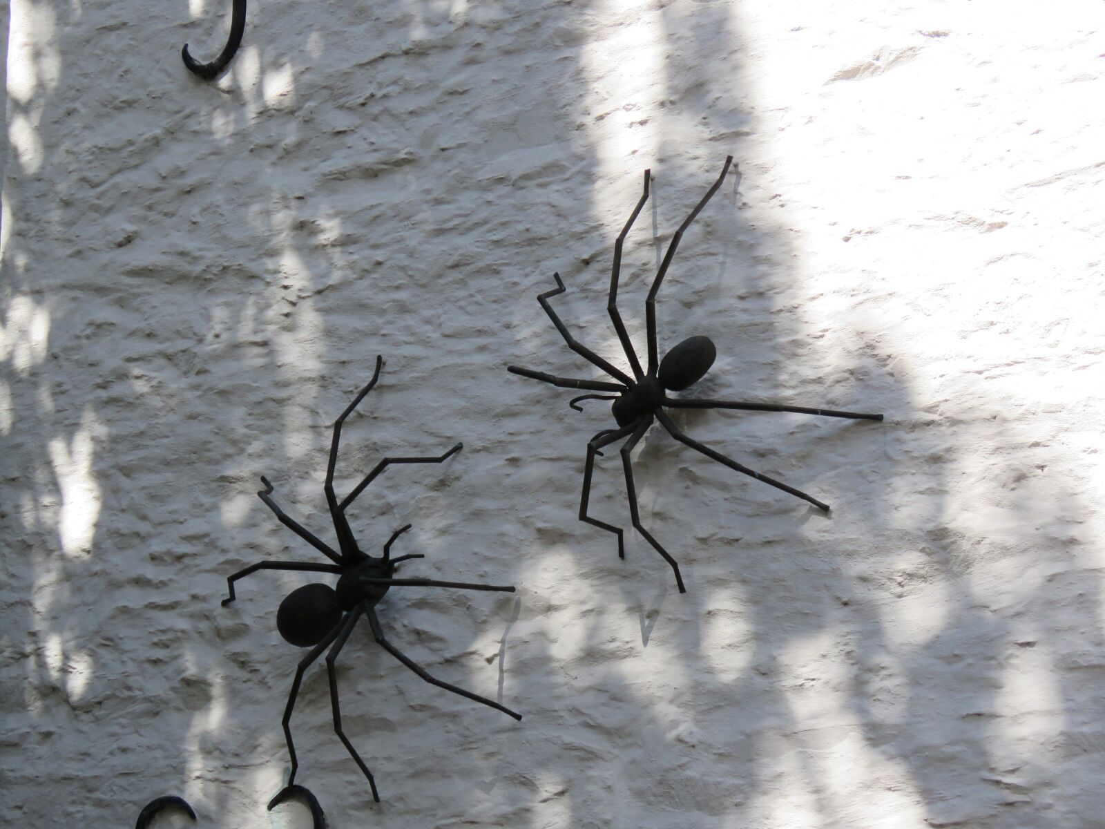 Canon PowerShot SX60 HS sample photo. Spider, spiders, wall photography