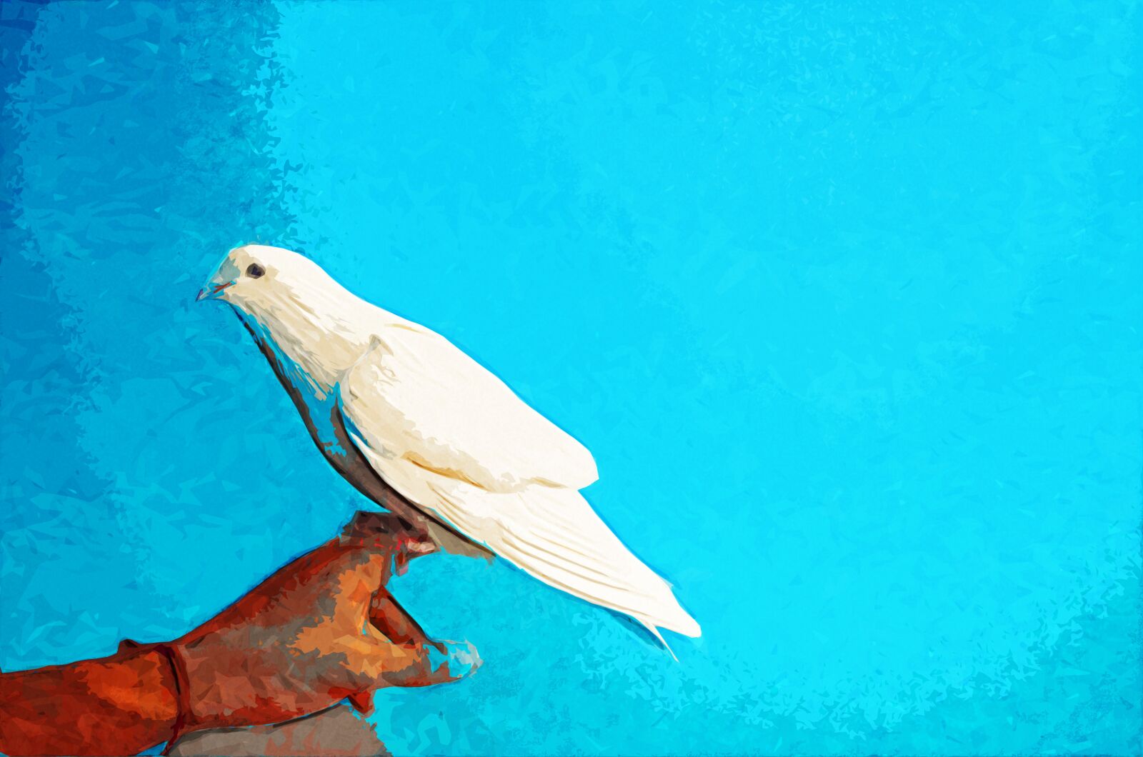 Nikon D5100 sample photo. Peace, pigeon, blue photography