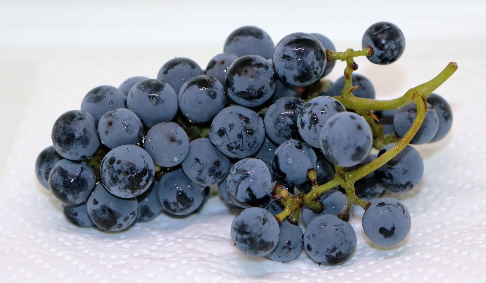 Canon EOS 760D (EOS Rebel T6s / EOS 8000D) sample photo. Grapes, blue grapes, fruit photography