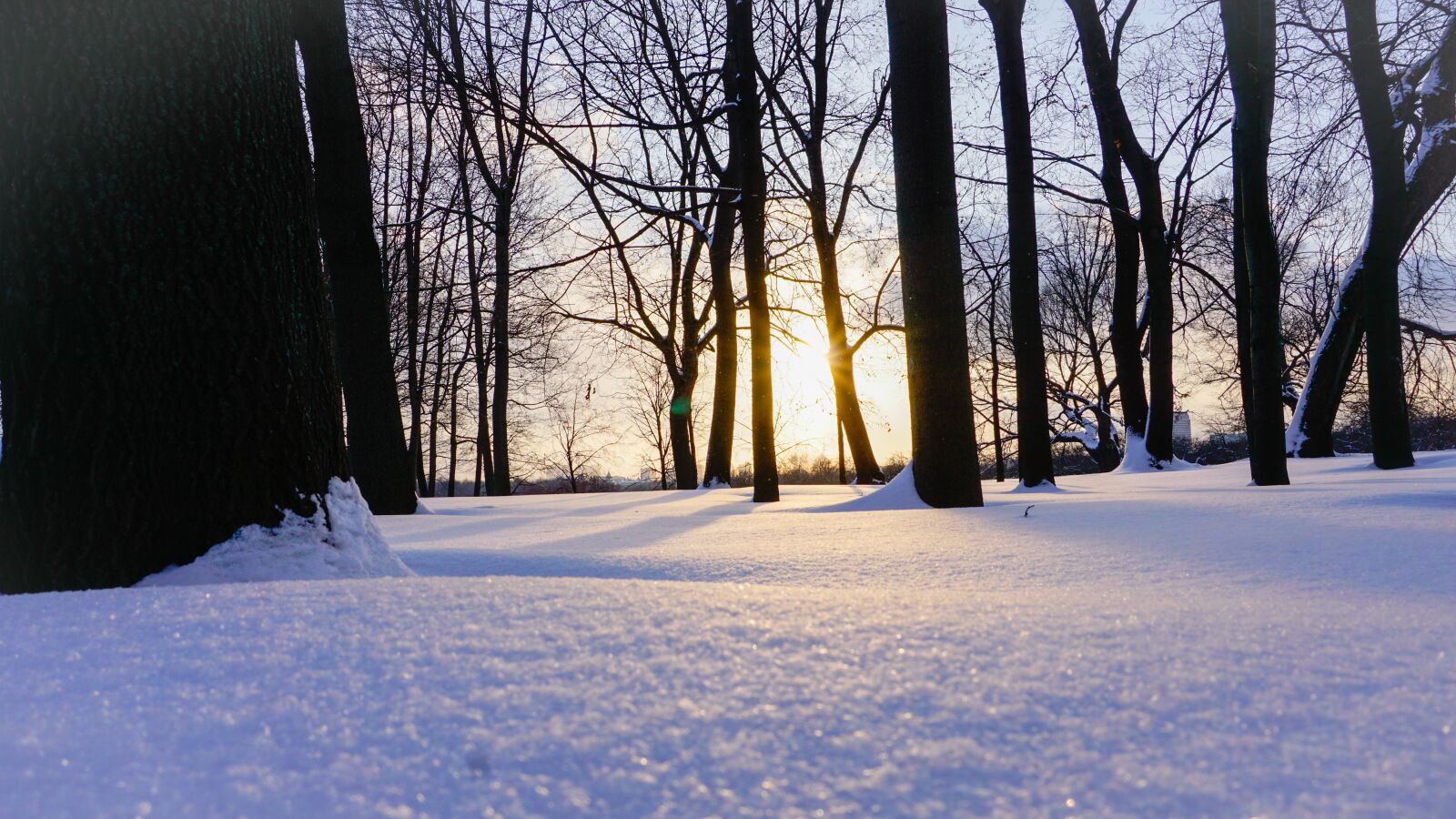 Sony E 16-50mm F3.5-5.6 PZ OSS sample photo. Winter, snow, frost photography